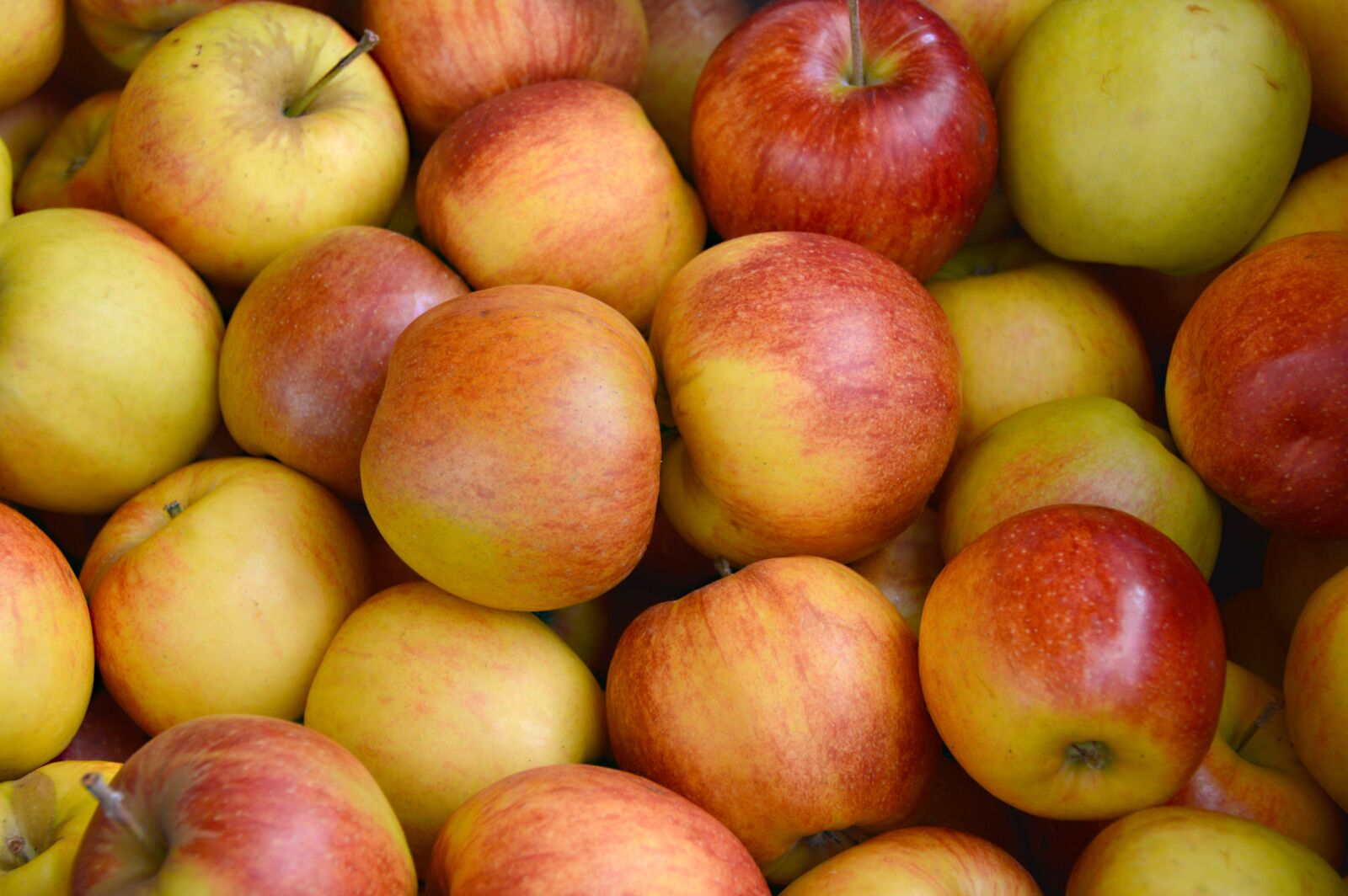 Nikon D3200 sample photo. Apple, fruit, fruits photography