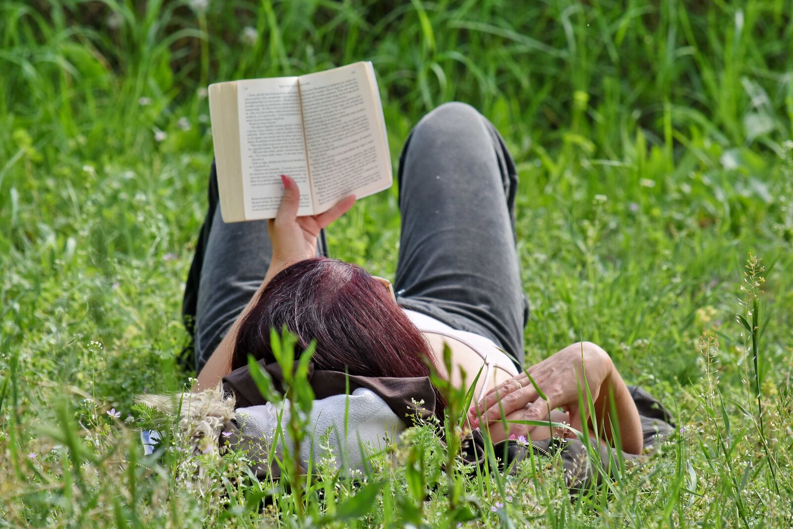 Nikon D5500 sample photo. Book, grass, reading, relaxation photography