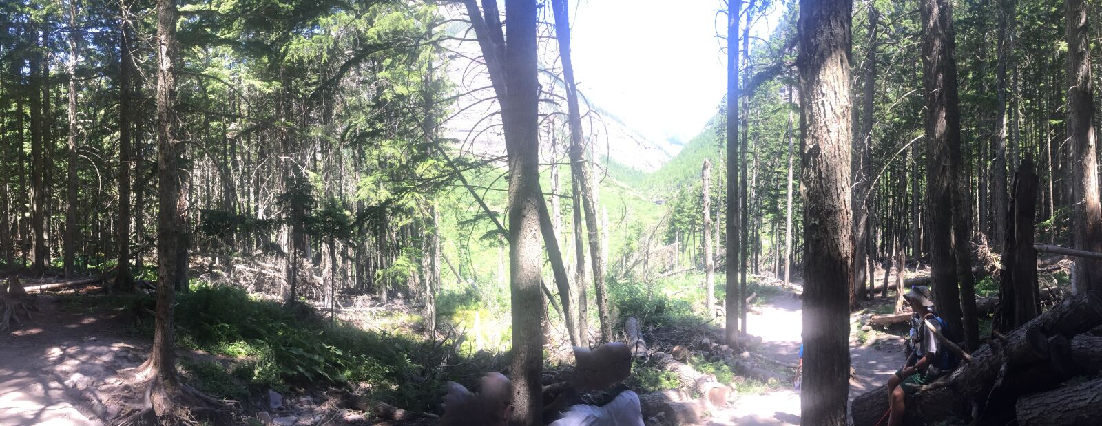 iPhone 6 Plus back camera 4.15mm f/2.2 sample photo. Glacier national park, montana photography