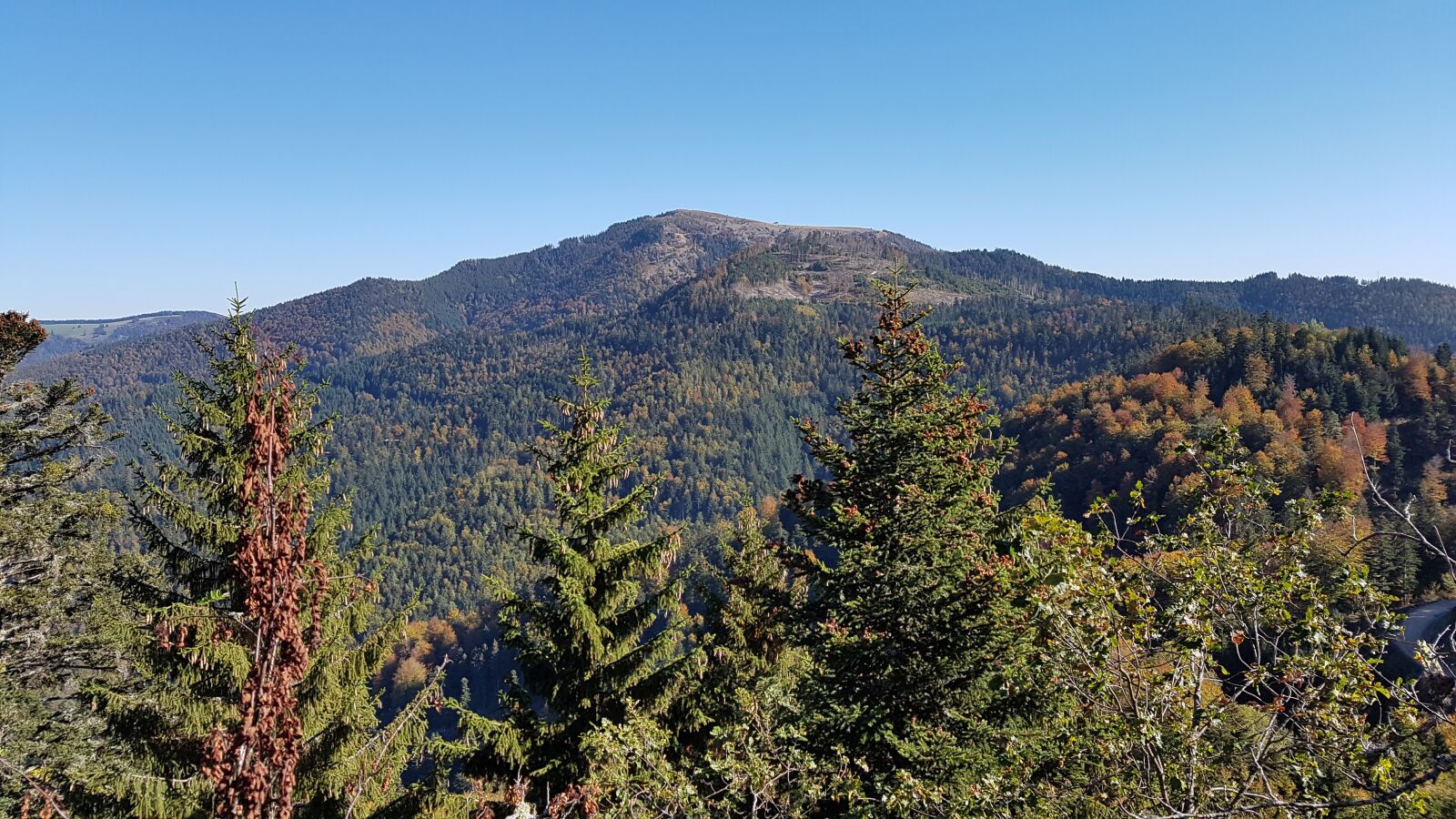 Samsung Galaxy S7 sample photo. Black forest, nature, landscape photography