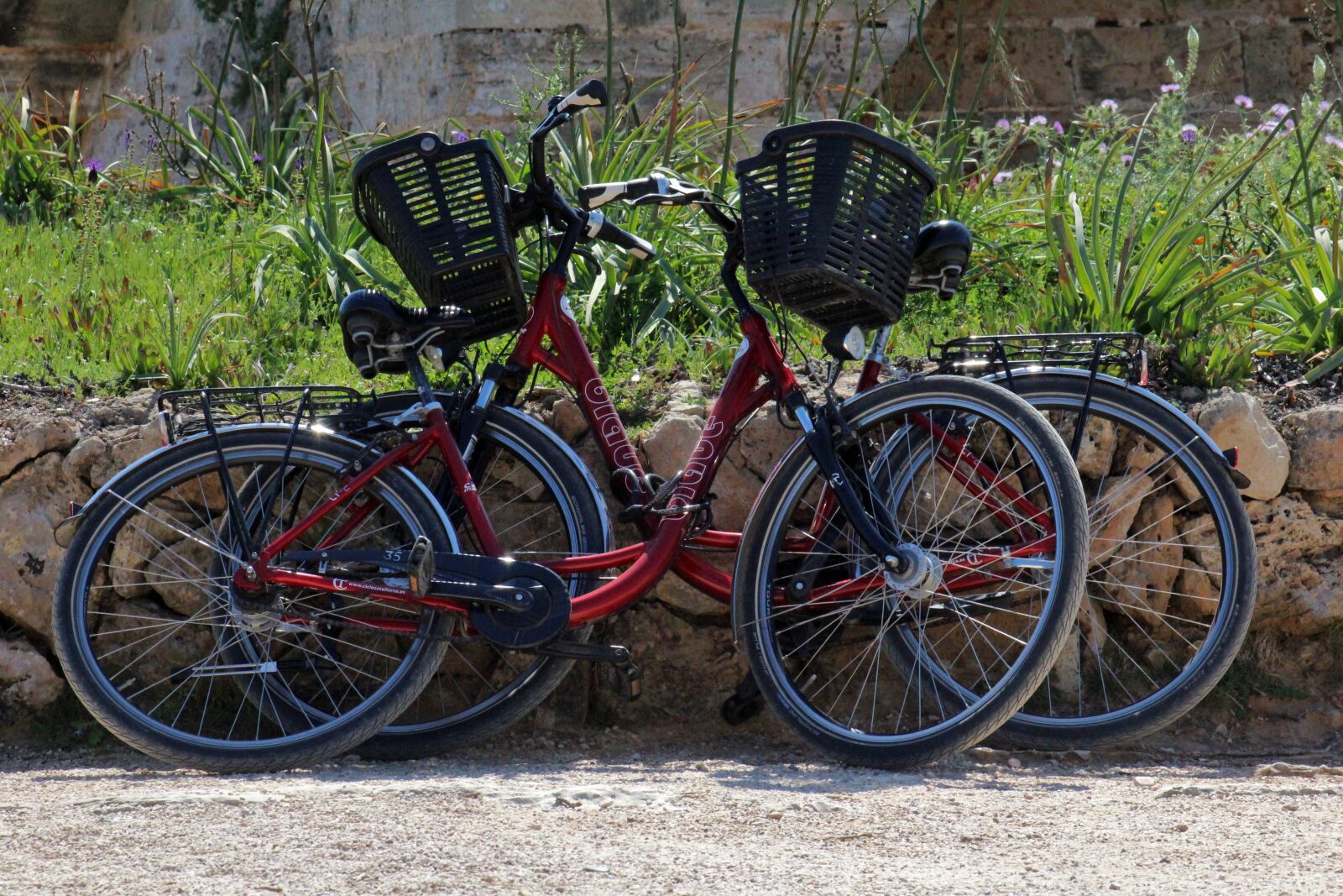 Canon EF 75-300mm f/4-5.6 sample photo. Bikes, push bikes, two photography