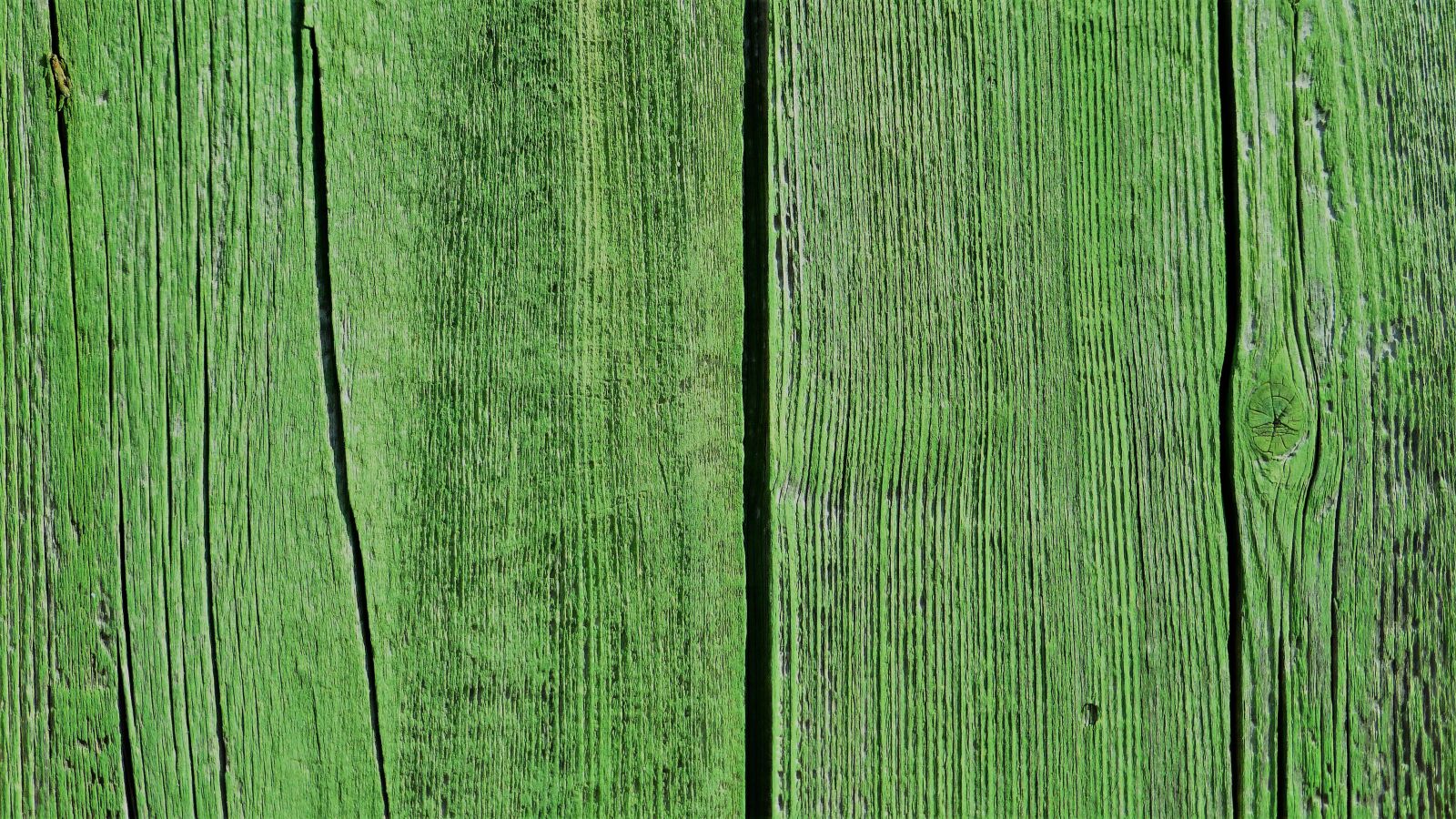 Panasonic Lumix DMC-ZS25 (Lumix DMC-TZ35) sample photo. Model, wallpaper, wood photography
