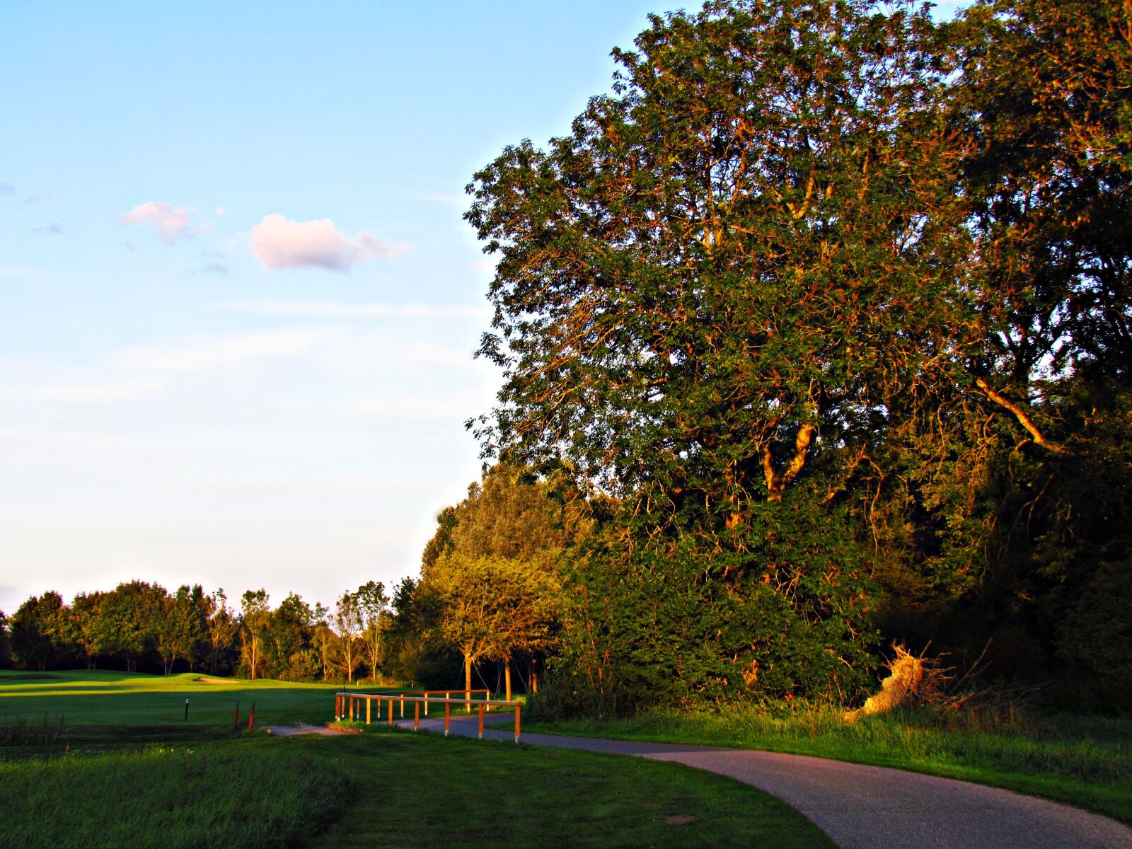 Canon PowerShot SX30 IS sample photo. Field, golf, meadow photography
