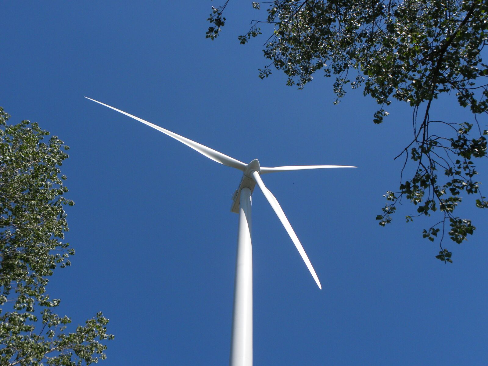Nikon Coolpix P90 sample photo. Wind mill, wind turbine photography