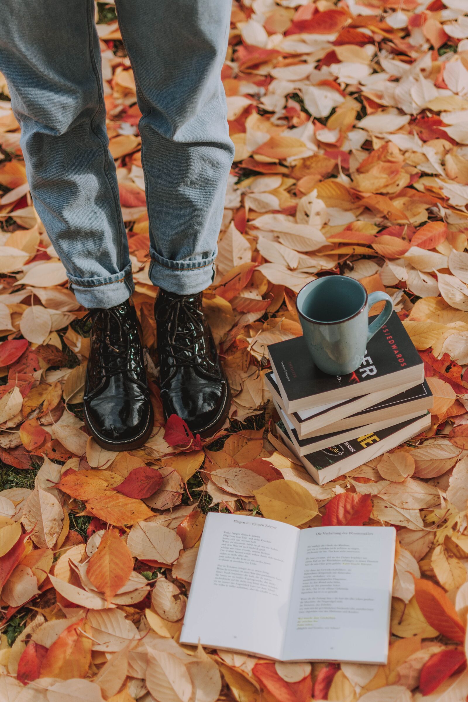 Nikon D5200 sample photo. Autumn, leaves, book photography