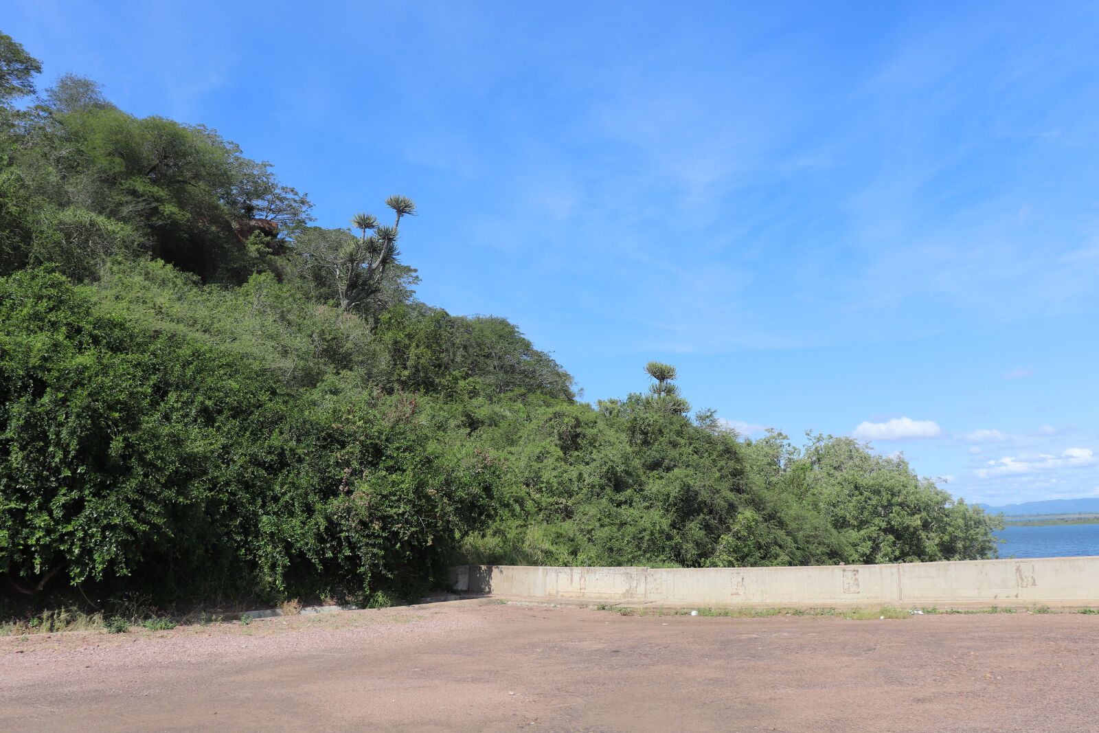 Canon EOS 800D (EOS Rebel T7i / EOS Kiss X9i) sample photo. Umbeluzi basin, mozambique, natural photography