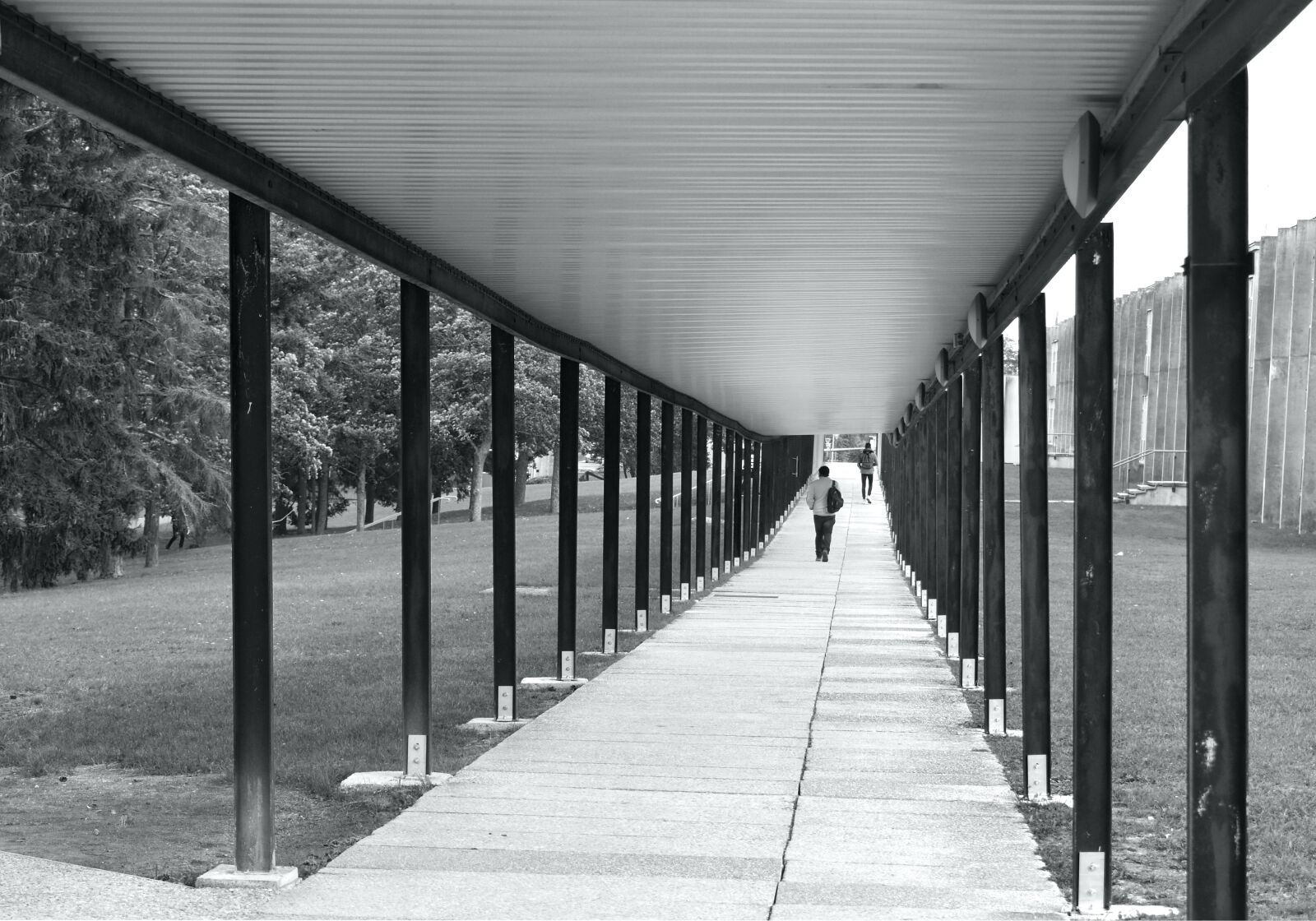 Nikon D5600 sample photo. Perspective, architecture, buildings photography
