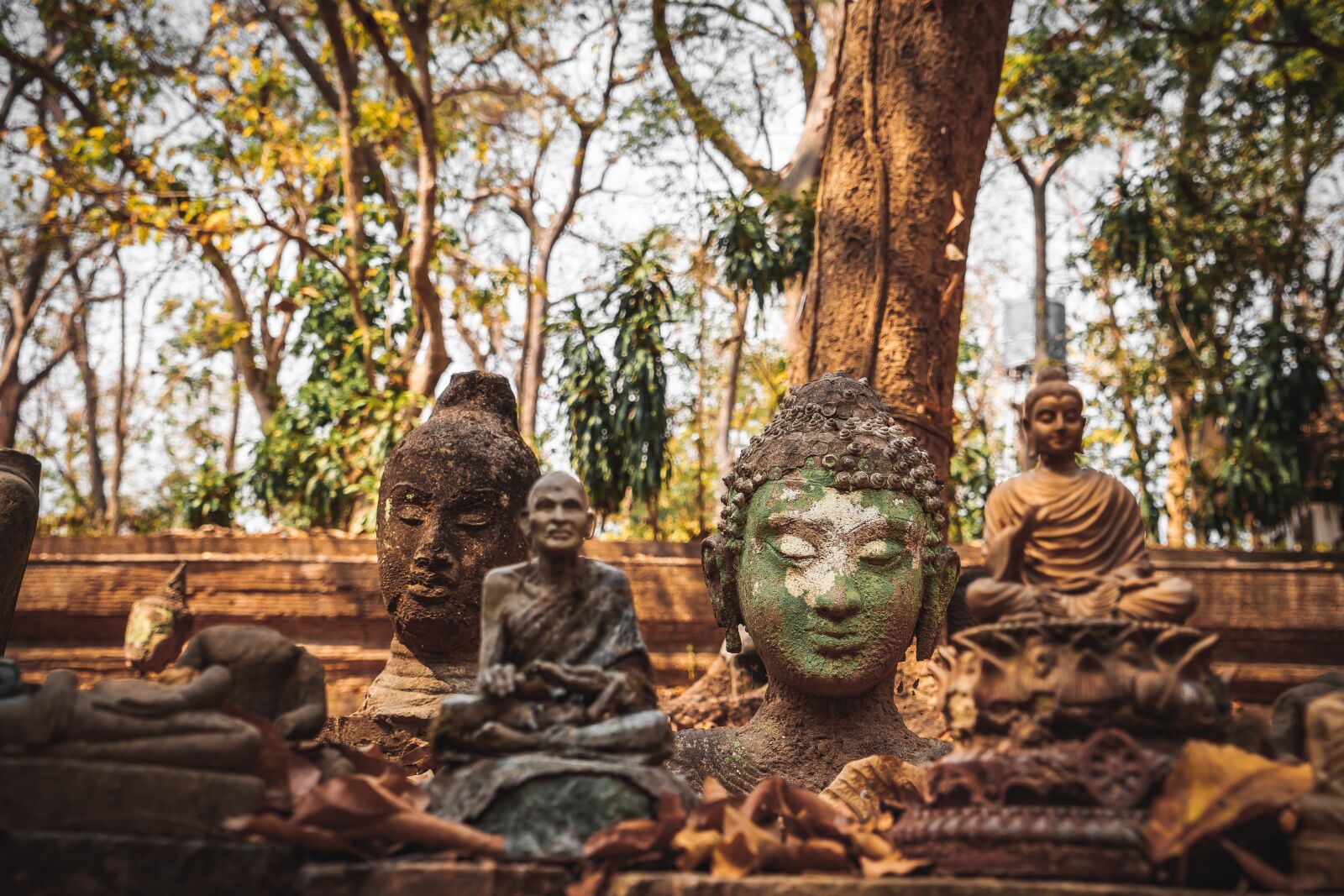 Sony a7 II + Sony Vario Tessar T* FE 24-70mm F4 ZA OSS sample photo. Wat, temple, mai photography