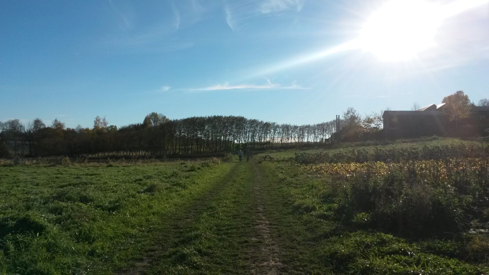 Samsung Galaxy S4 Active sample photo. Beautiful, day, field, landscape photography