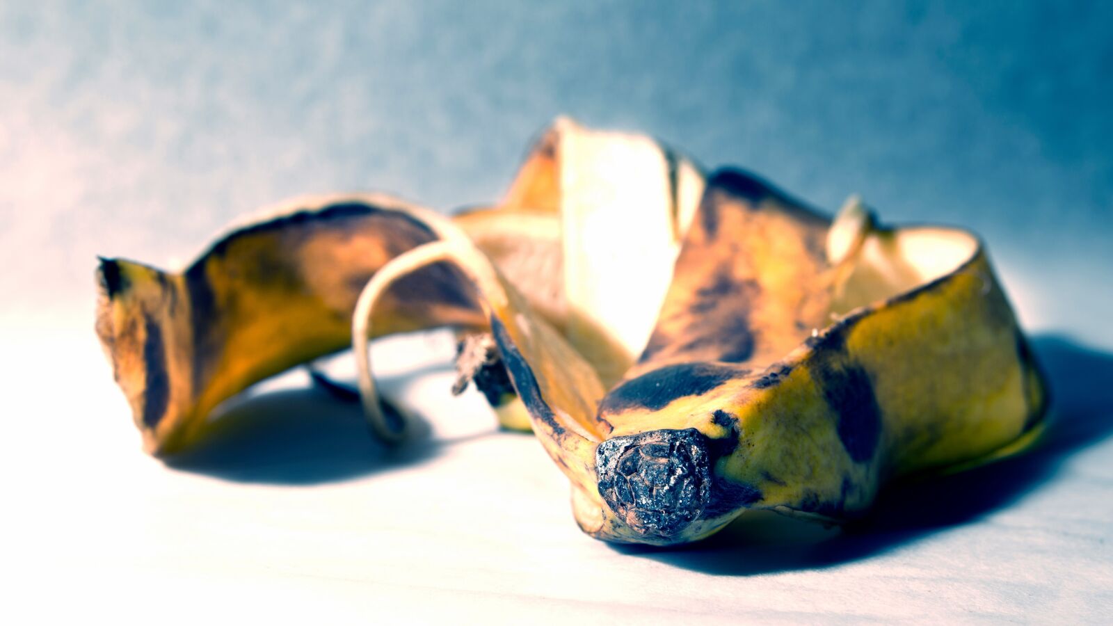 Nikon D5100 sample photo. Banana, shell, fruits photography