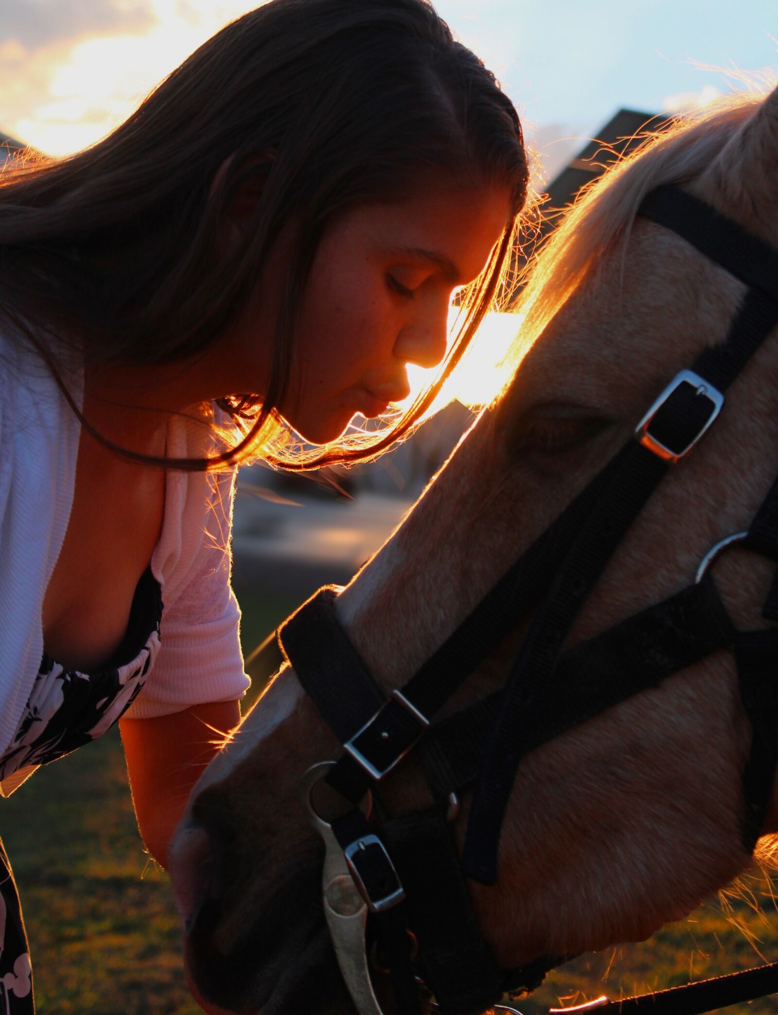 Canon EOS 1200D (EOS Rebel T5 / EOS Kiss X70 / EOS Hi) sample photo. Kissing, horse, girl photography