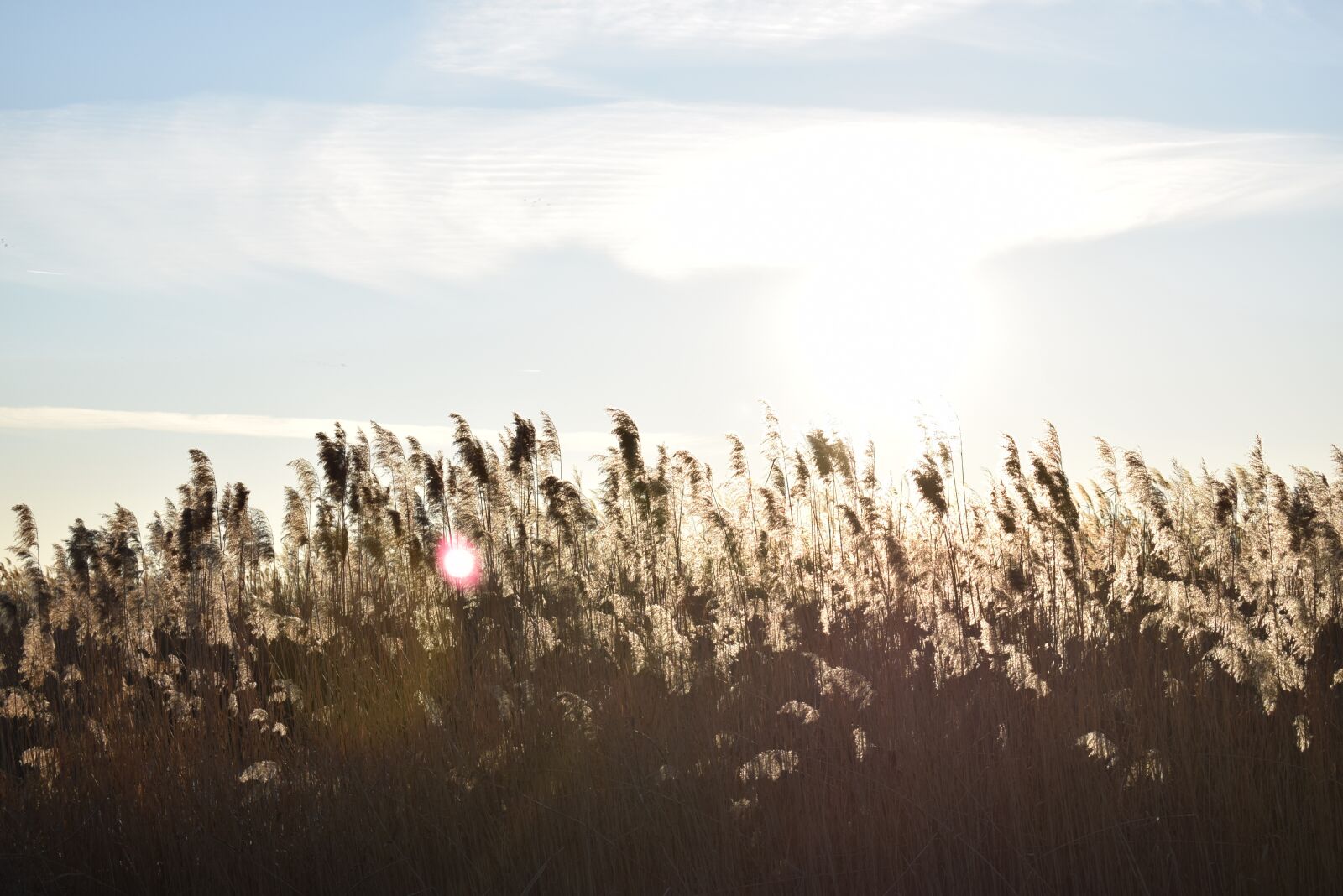 Nikon D3300 sample photo. Rapunzel, day s, sky photography