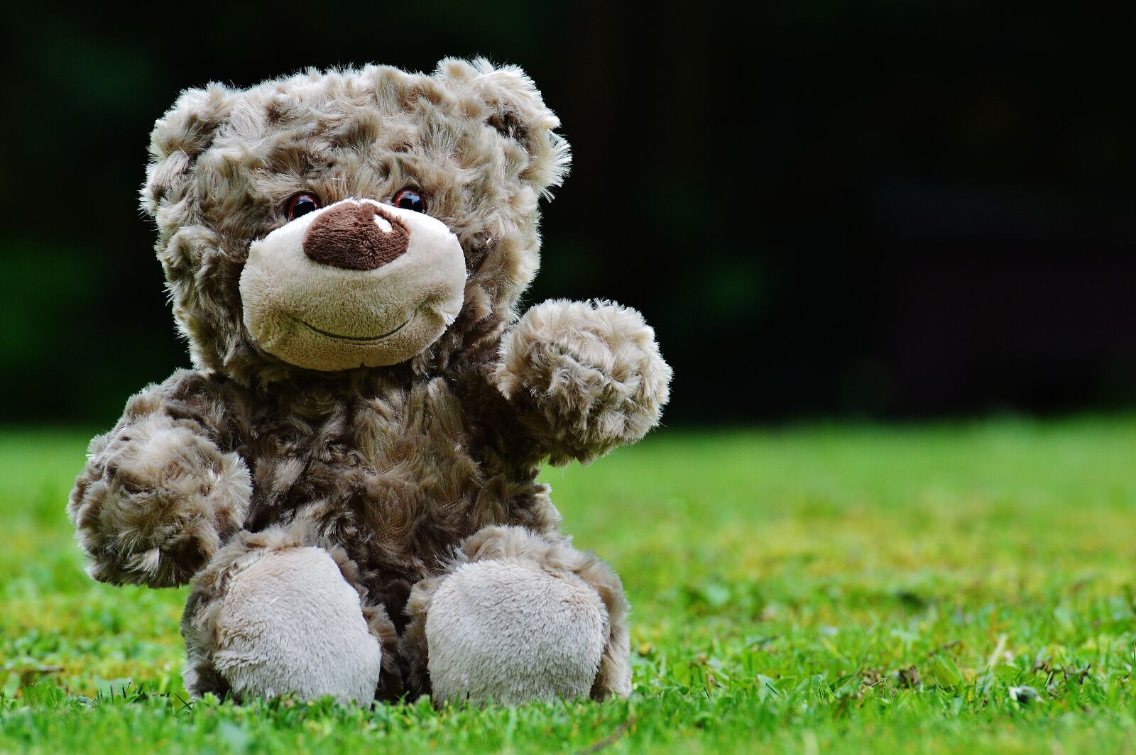 Nikon D3200 sample photo. Teddy, soft toy, stuffed photography