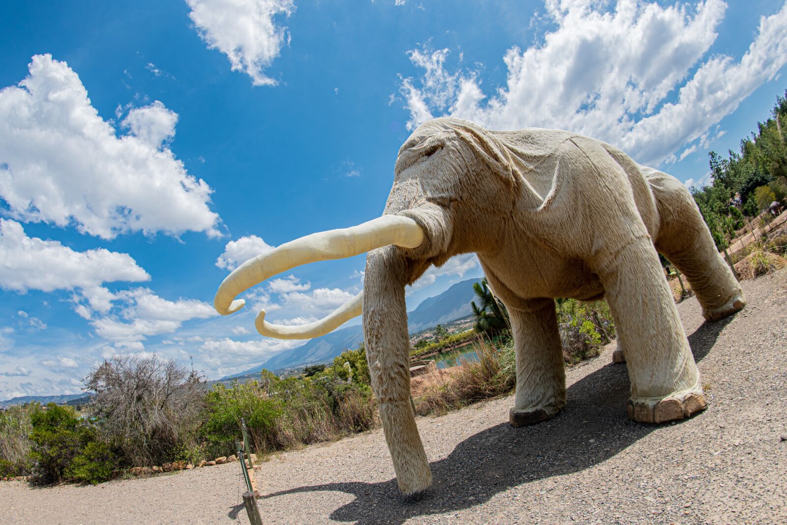 Nikon D5600 sample photo. Mammoth, gondava, park photography