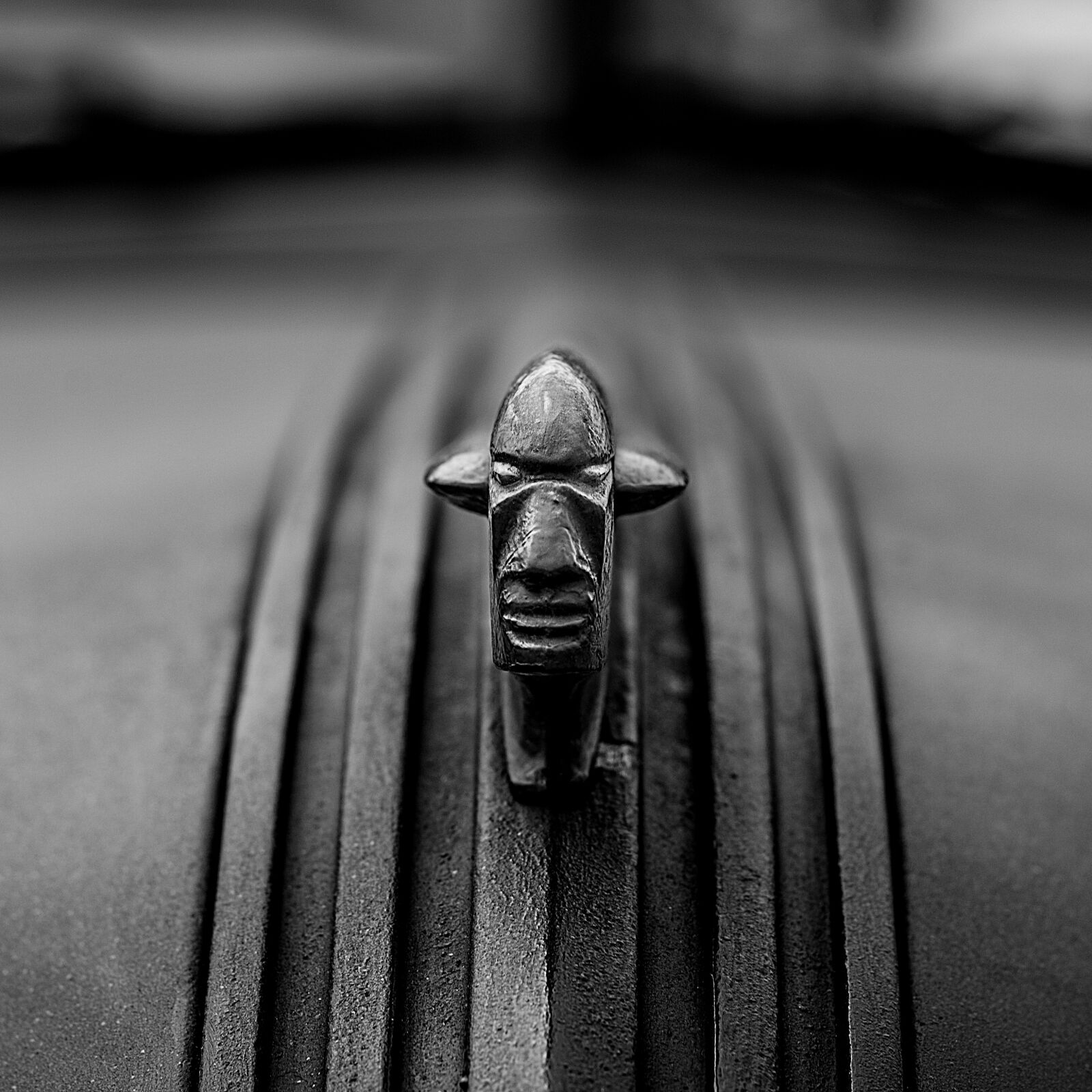 Nikon D7000 sample photo. Black, white, car badge photography