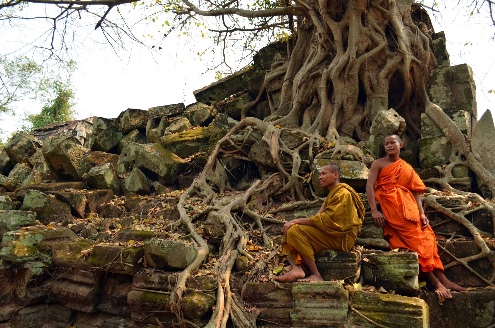 Nikon D5100 sample photo. Monks, orange, cambodia photography