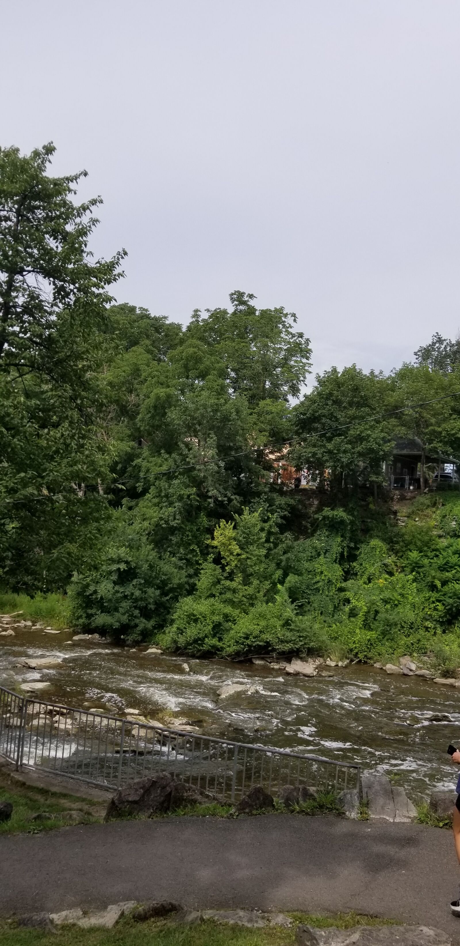 Samsung Galaxy S8 sample photo