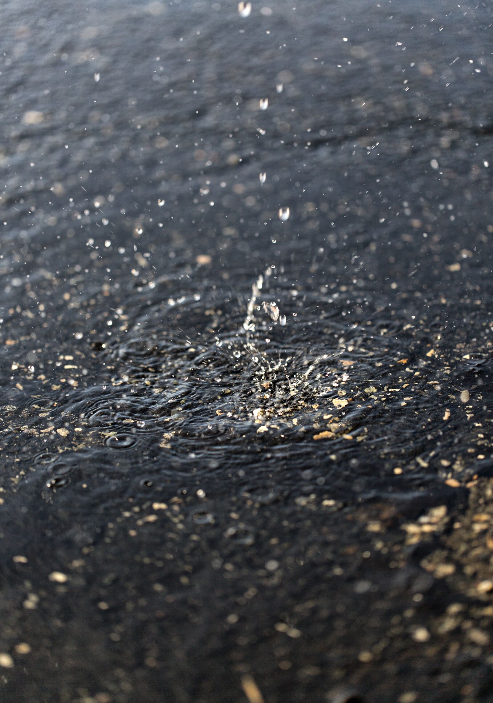 Canon EF 100mm F2.8L Macro IS USM sample photo. Dripping, splash, water explosion photography