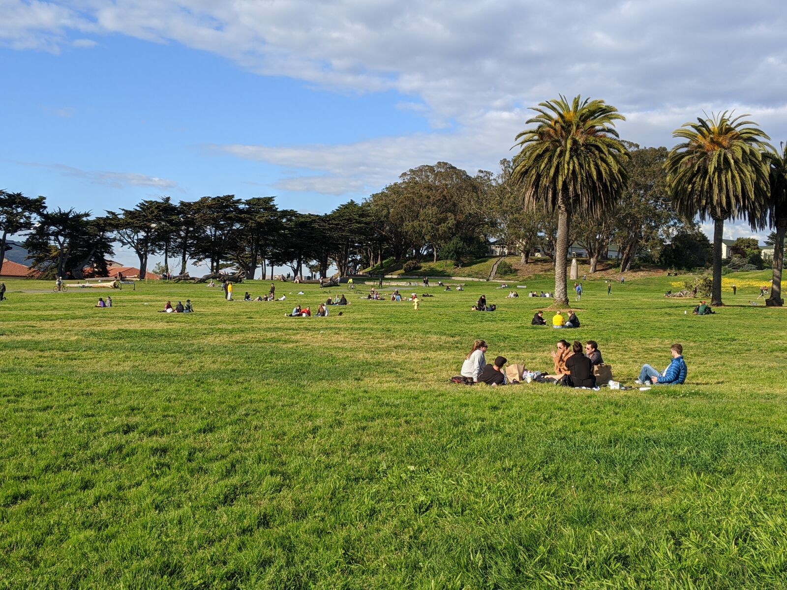Google Pixel 3 XL sample photo. Park, grass, picnic photography