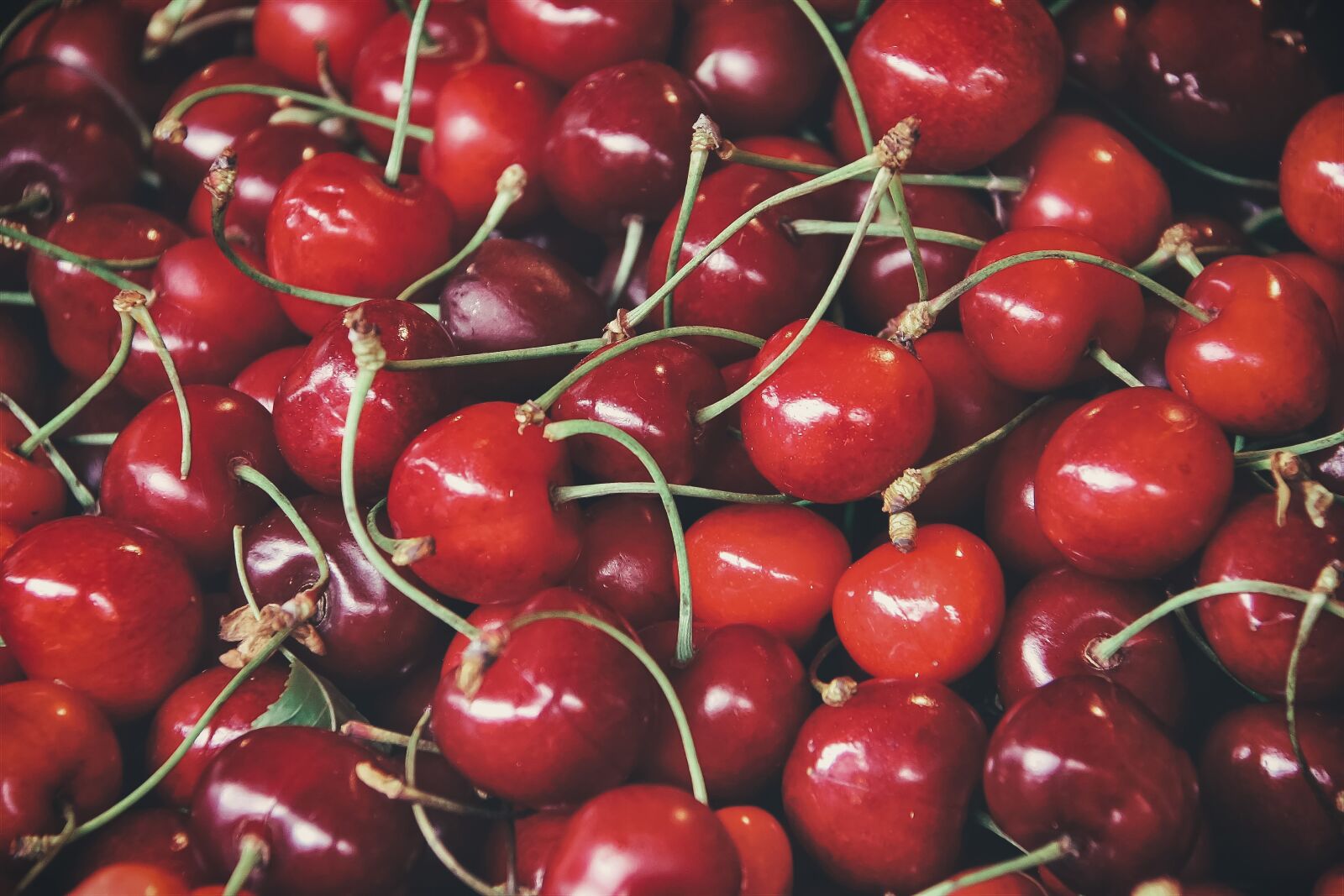 Canon EOS 40D sample photo. Food, cherries, fruit photography
