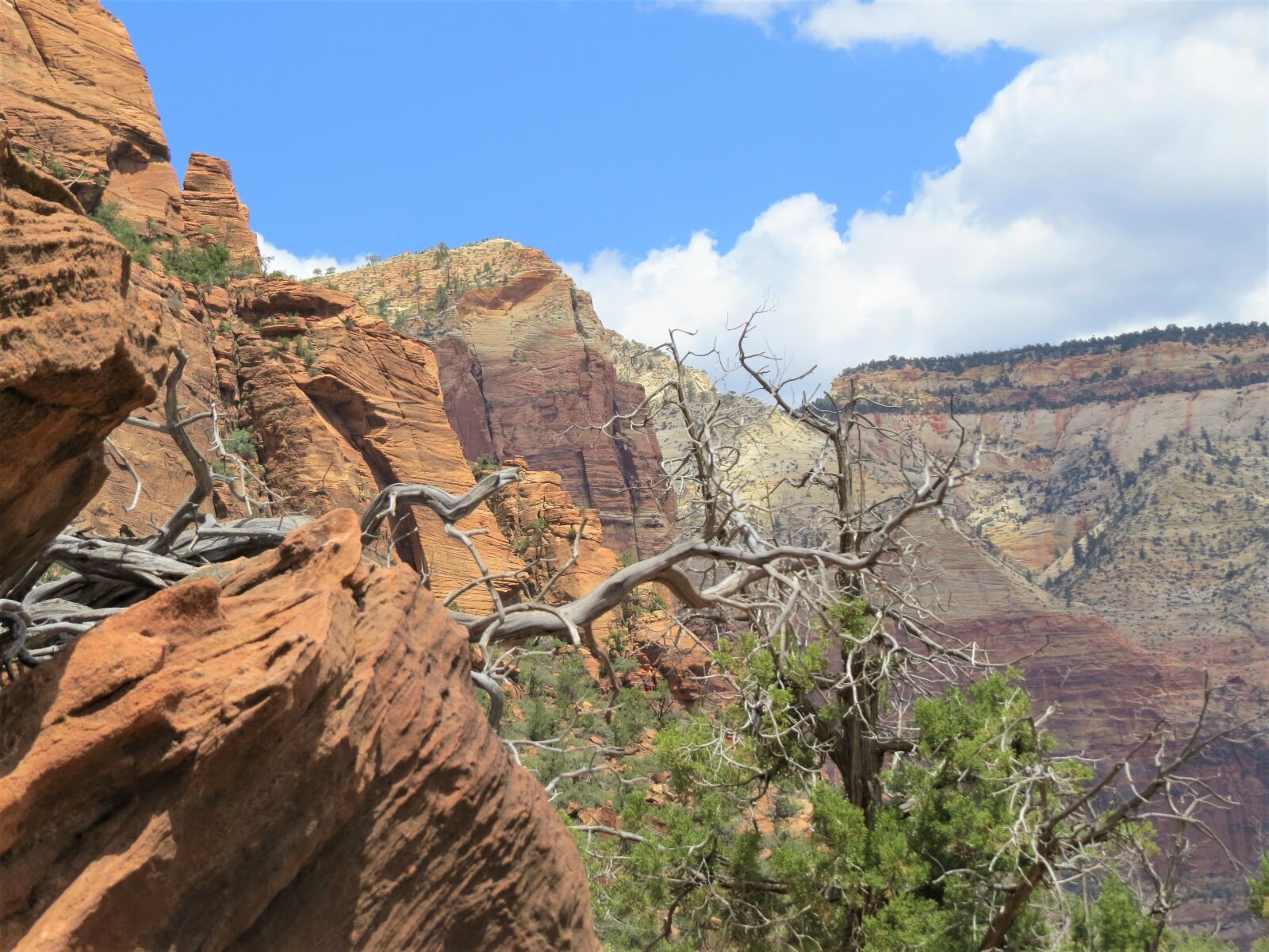 Canon PowerShot SX50 HS sample photo. Hiking, utah, scenic photography