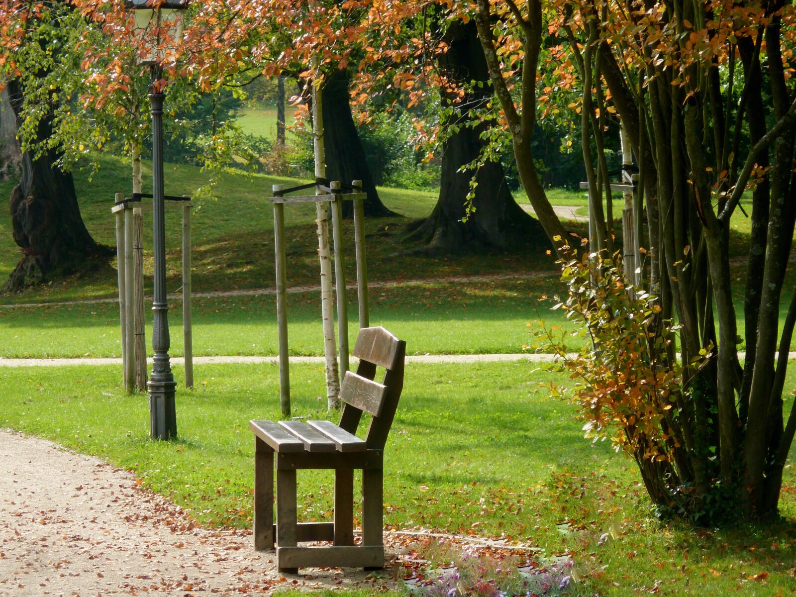 Panasonic DMC-TZ7 sample photo. Park, bank, park bench photography