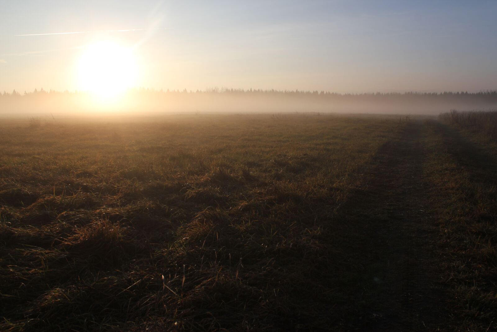 Canon EOS 550D (EOS Rebel T2i / EOS Kiss X4) sample photo. Morning, sunrise, road to photography