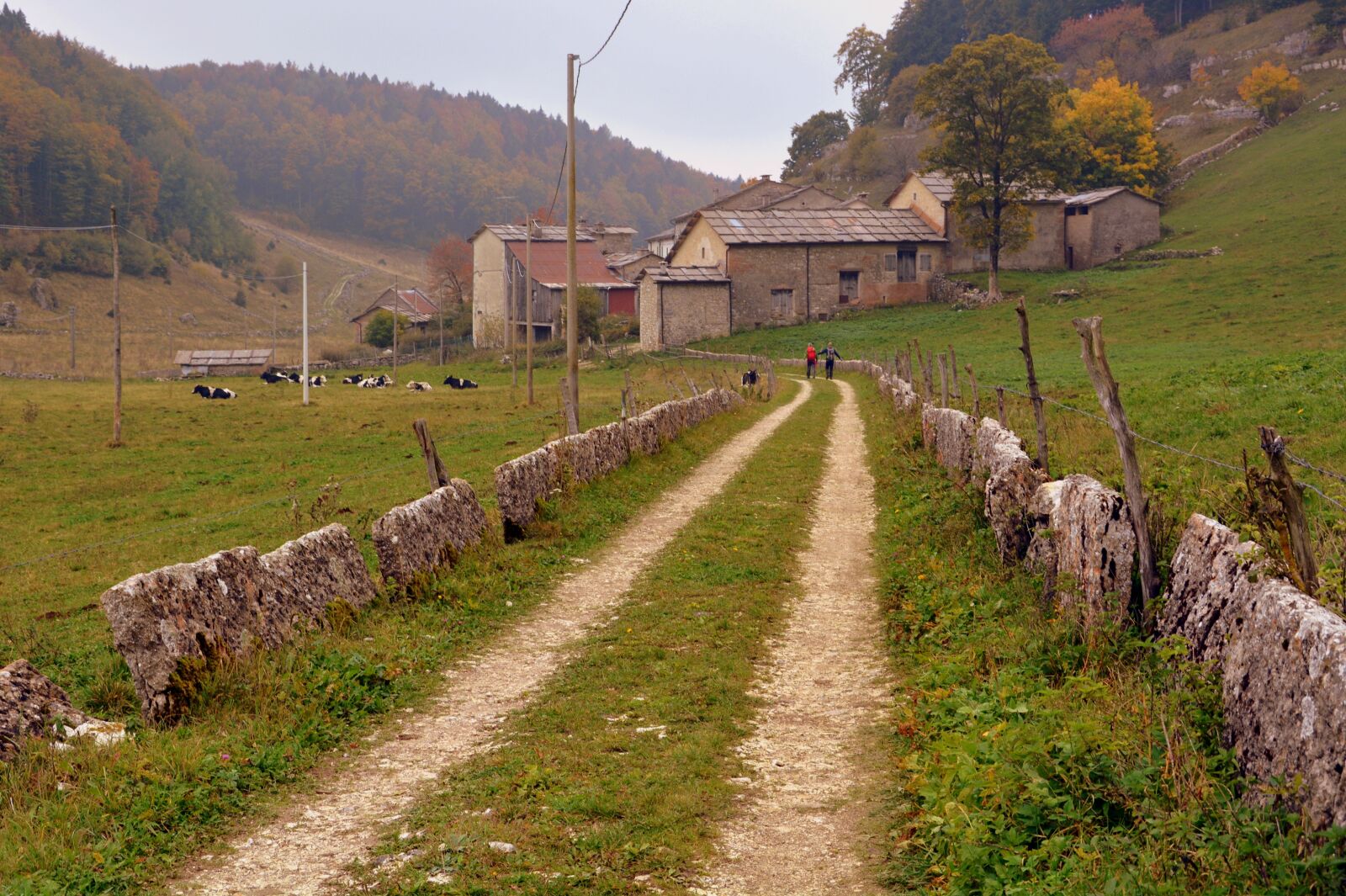 Nikon D7100 sample photo. Trail, stone, fence photography