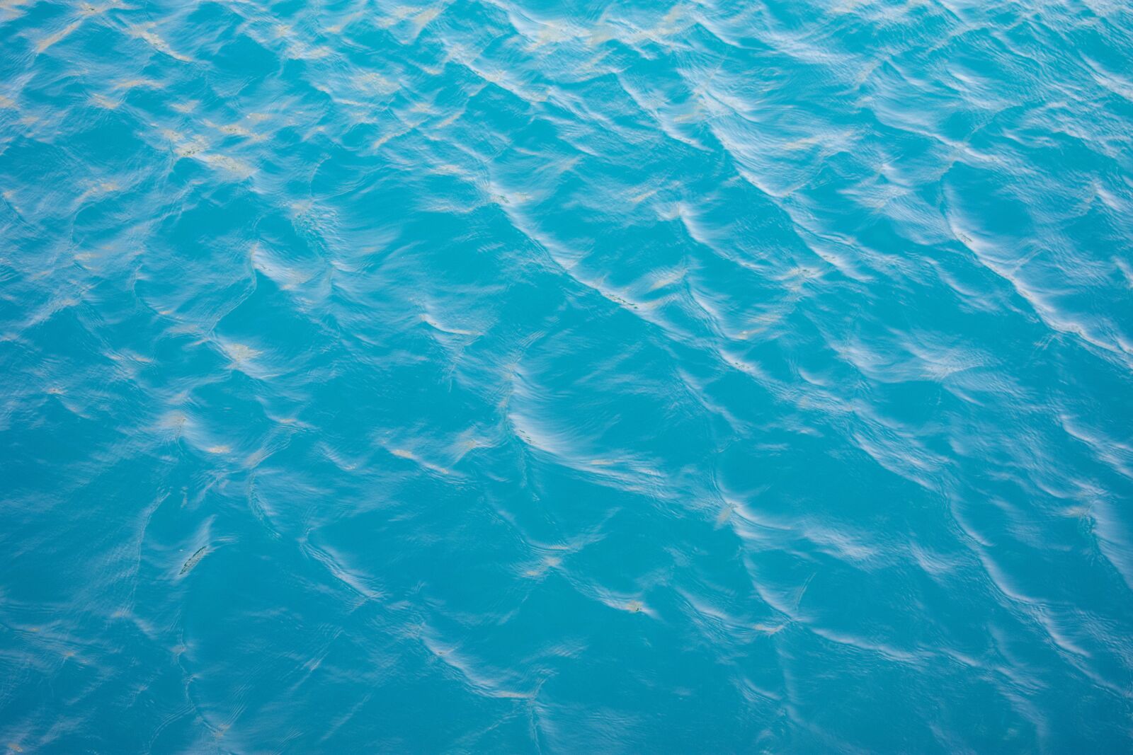 Nikon D3400 sample photo. Water, pool, swimming photography