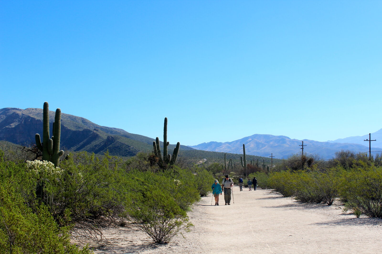 Canon EOS 1200D (EOS Rebel T5 / EOS Kiss X70 / EOS Hi) sample photo. Cactus, desert, green, hiker photography