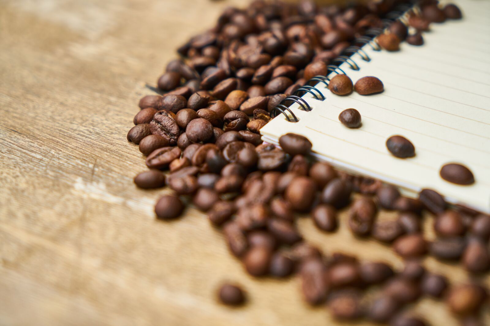 Sony a7R II sample photo. Coffee, notebook, core photography
