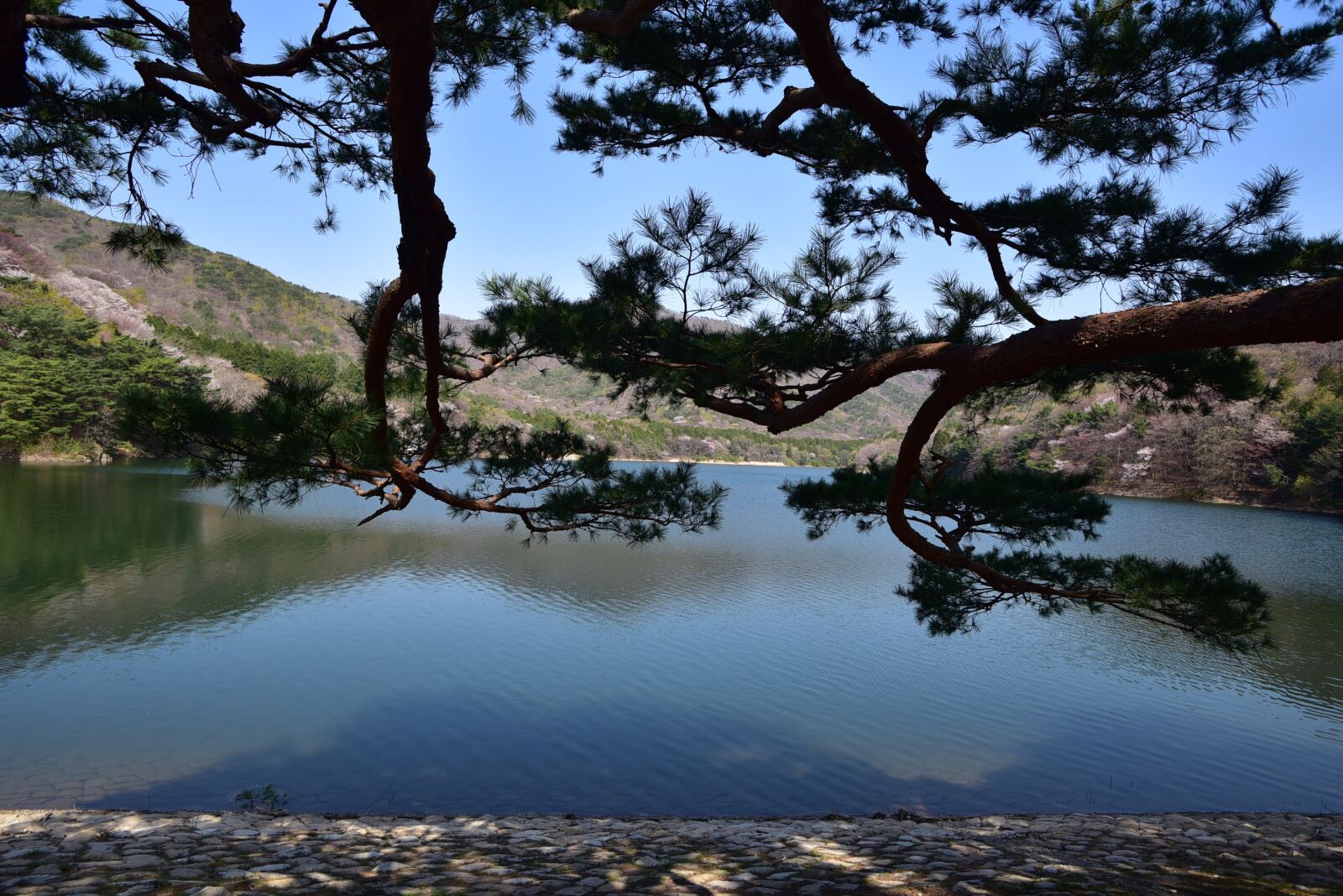 Nikon D750 sample photo. Lake, law to water photography