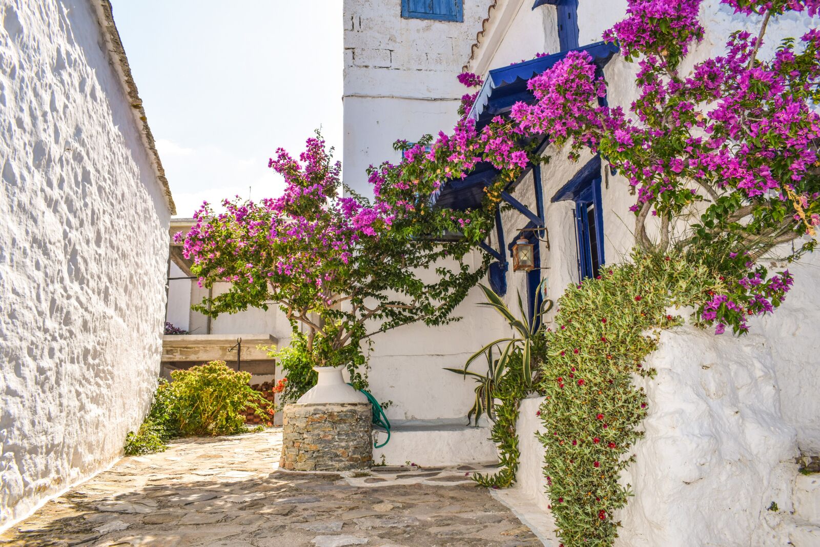 Nikon D3300 sample photo. Greece, skopelos, island photography