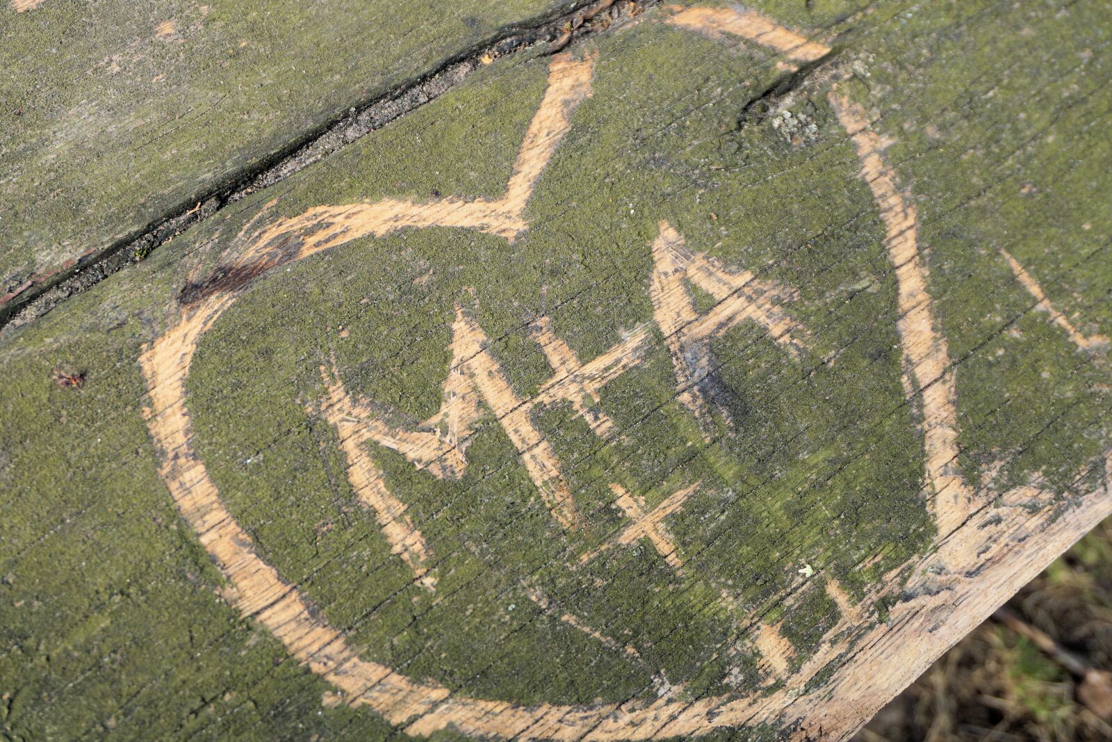 Sony a6000 sample photo. Heart, love, symbol photography