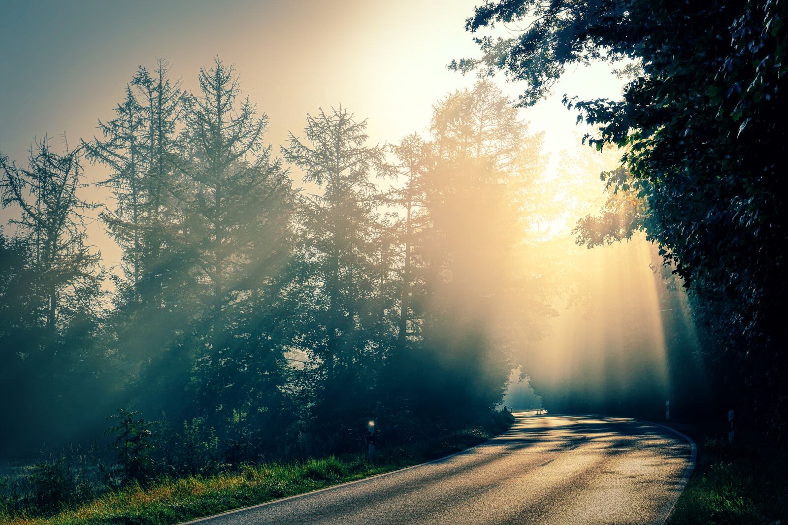 Panasonic Lumix DMC-GX8 sample photo. Fog, haze, light beam photography