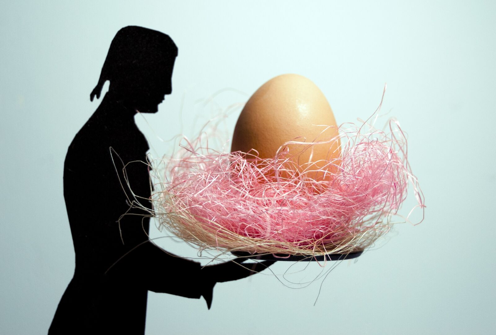 Nikon D60 sample photo. Egg, eggs, food photography
