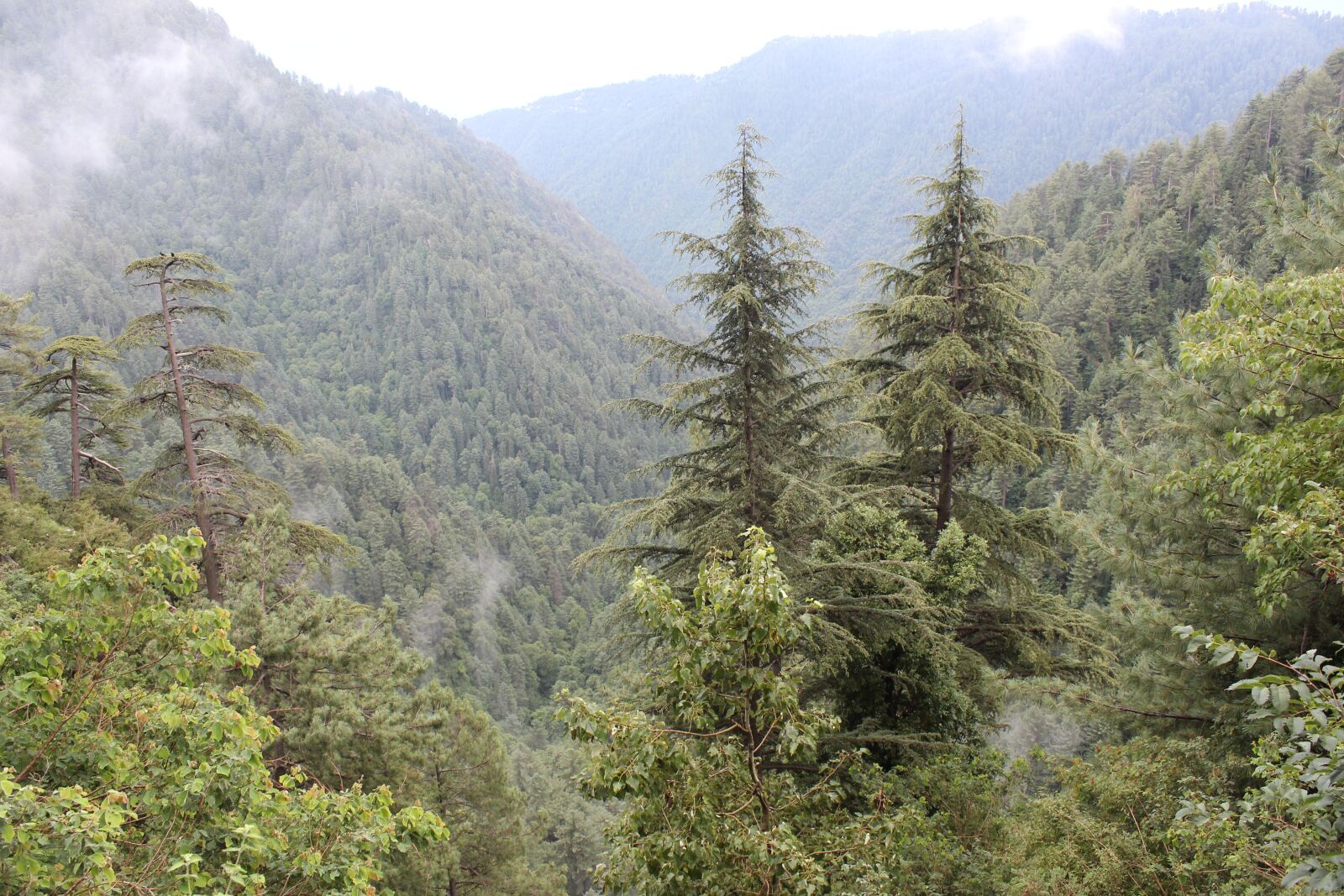 Canon EOS 600D (Rebel EOS T3i / EOS Kiss X5) sample photo. Mountain, nature, landscape photography