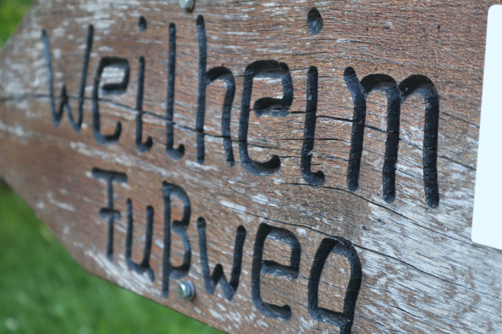 Canon EOS M50 (EOS Kiss M) sample photo. Home, path, outdoor photography