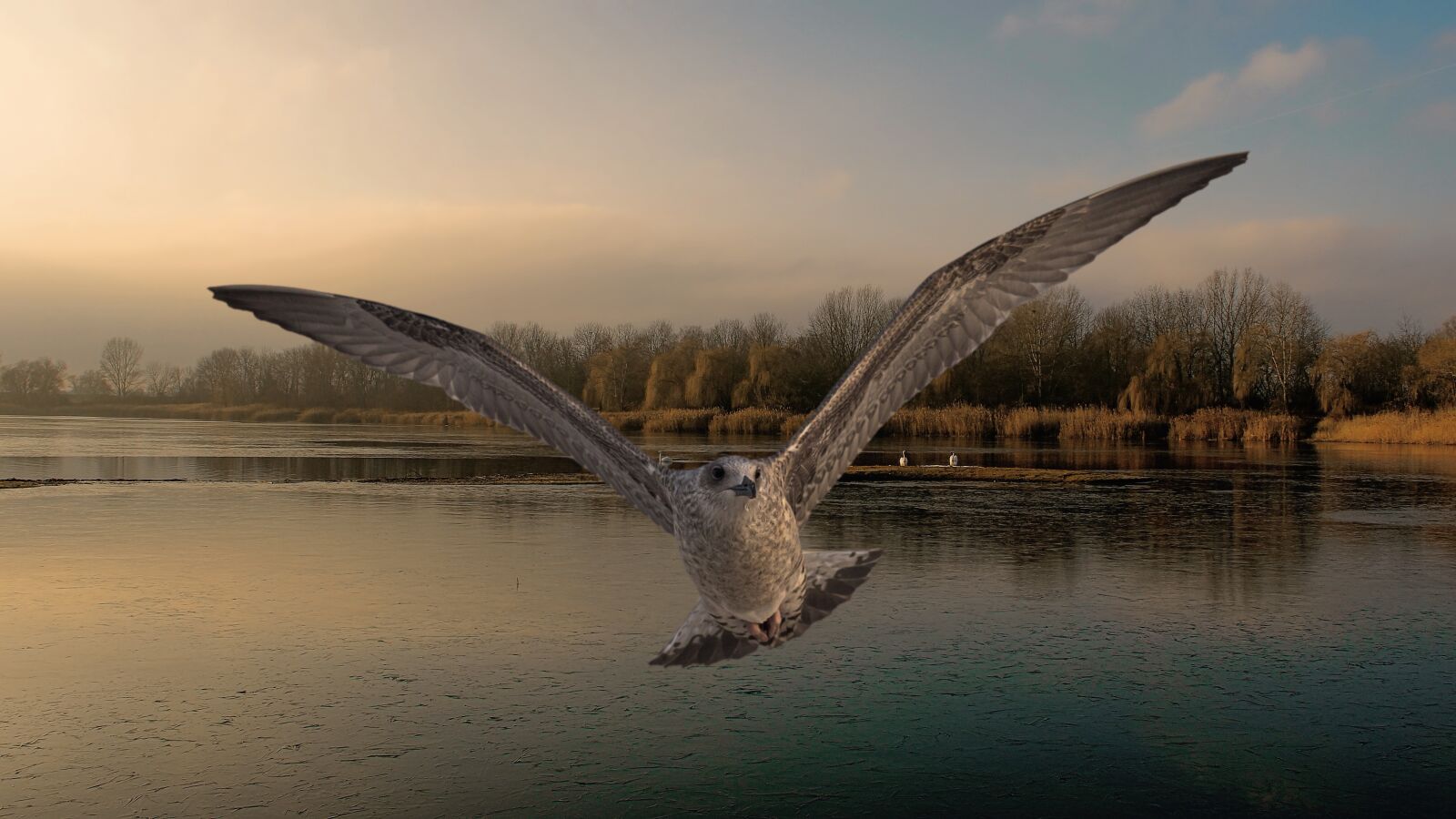 Canon EOS 600D (Rebel EOS T3i / EOS Kiss X5) sample photo. Landscape, lake, bird photography