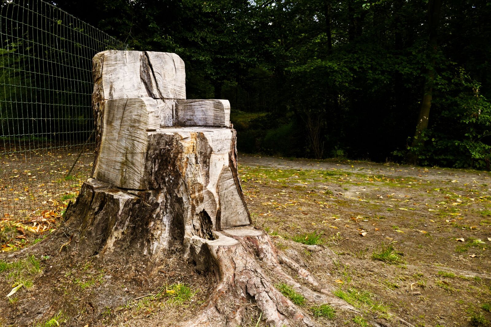 Panasonic Lumix DMC-FZ1000 sample photo. Tree trunk, chair, wood photography