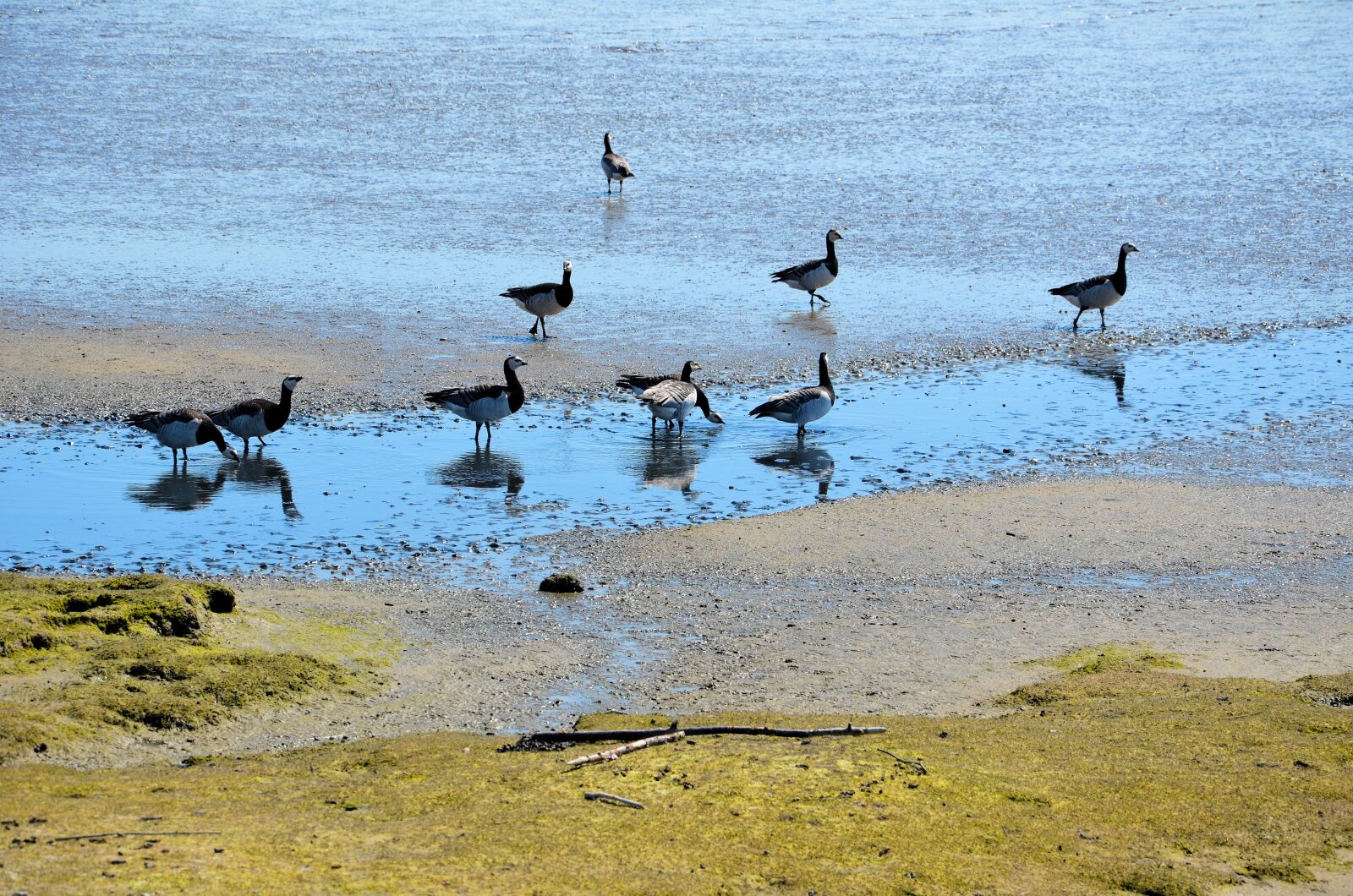 Nikon D5100 sample photo. North sea, norddeich, east photography