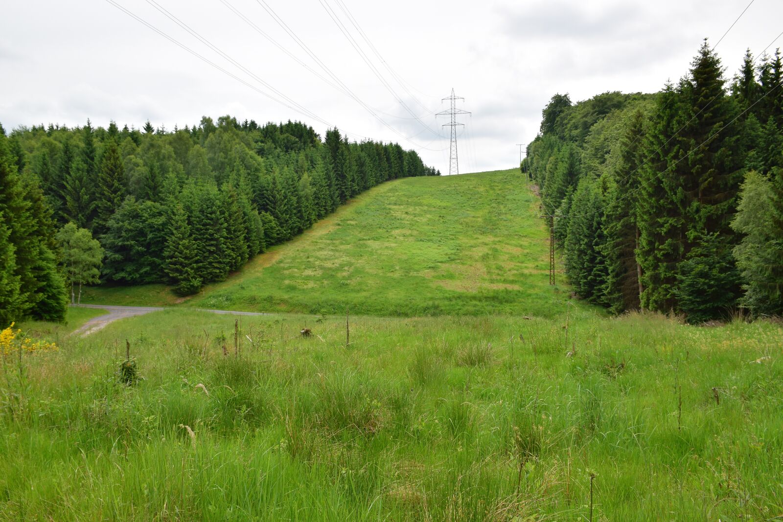 Nikon D5300 sample photo. Green band, wide, landscape photography