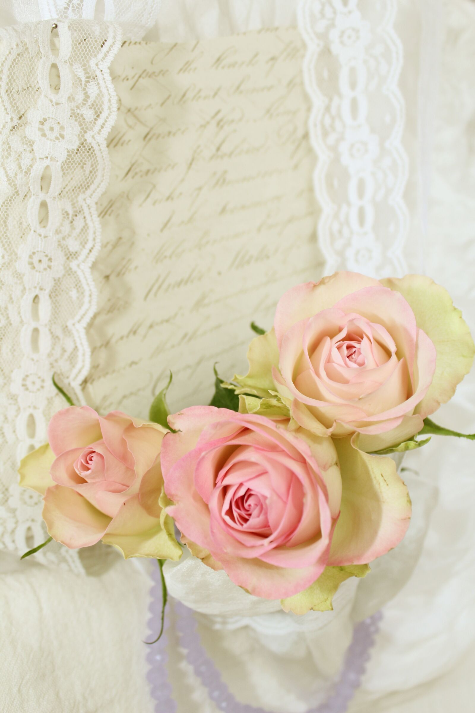 Canon EOS 600D (Rebel EOS T3i / EOS Kiss X5) sample photo. Roses, romantic, invitation photography