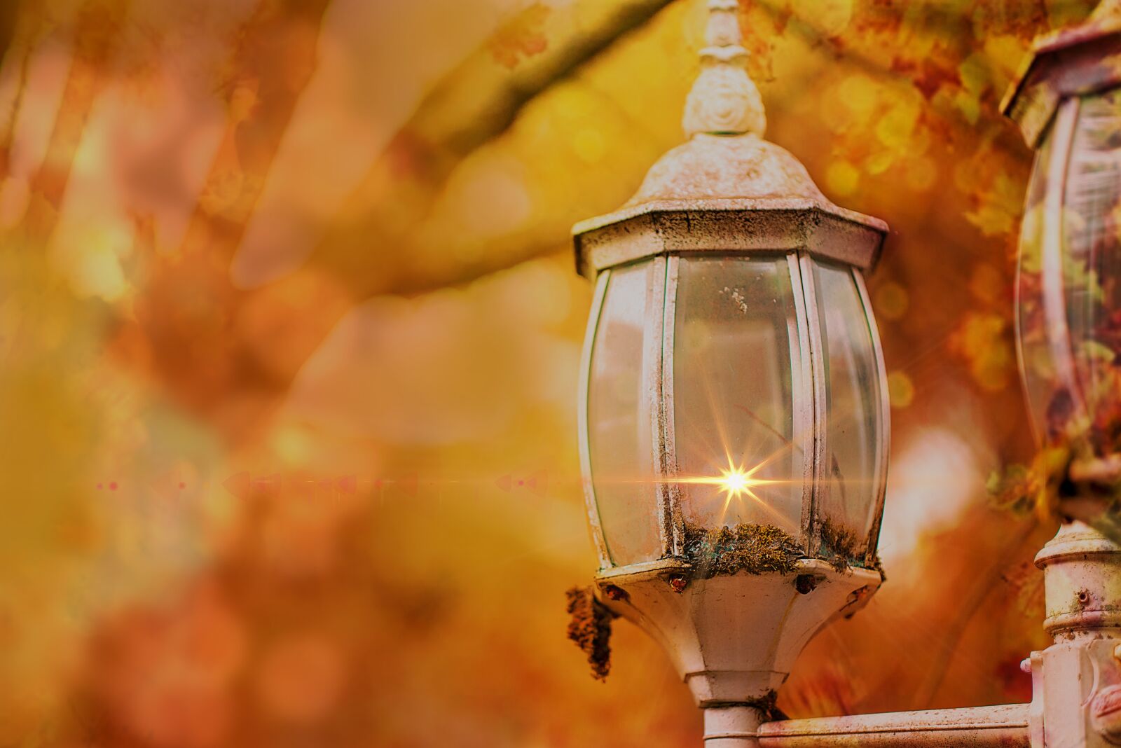 Nikon D600 sample photo. Old lamp, vintage, lamp photography
