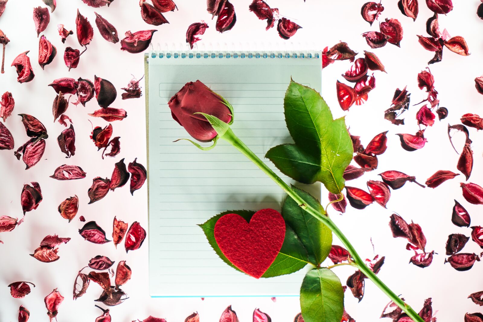 Sony a7R II sample photo. Valentine's day, love, romance photography