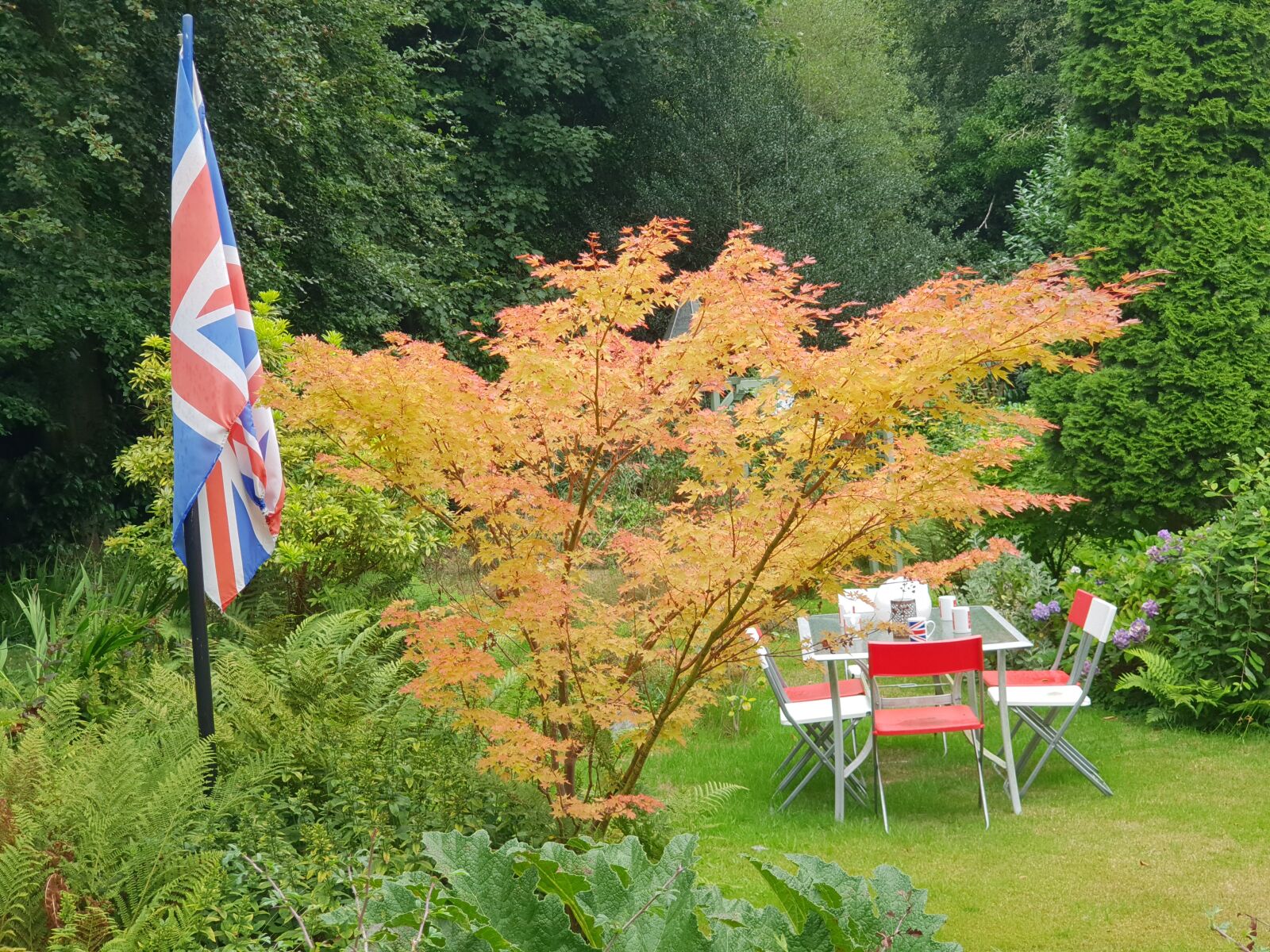 Samsung Galaxy S9+ sample photo. Nature, garden, flag photography