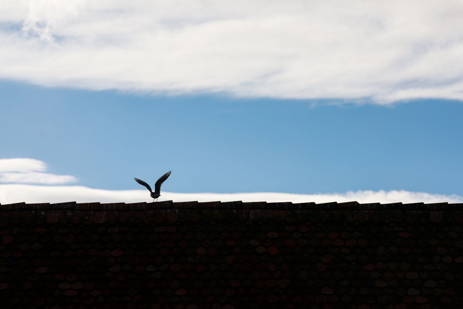 Canon EOS 5D Mark IV sample photo. Sky, nature, landscape photography