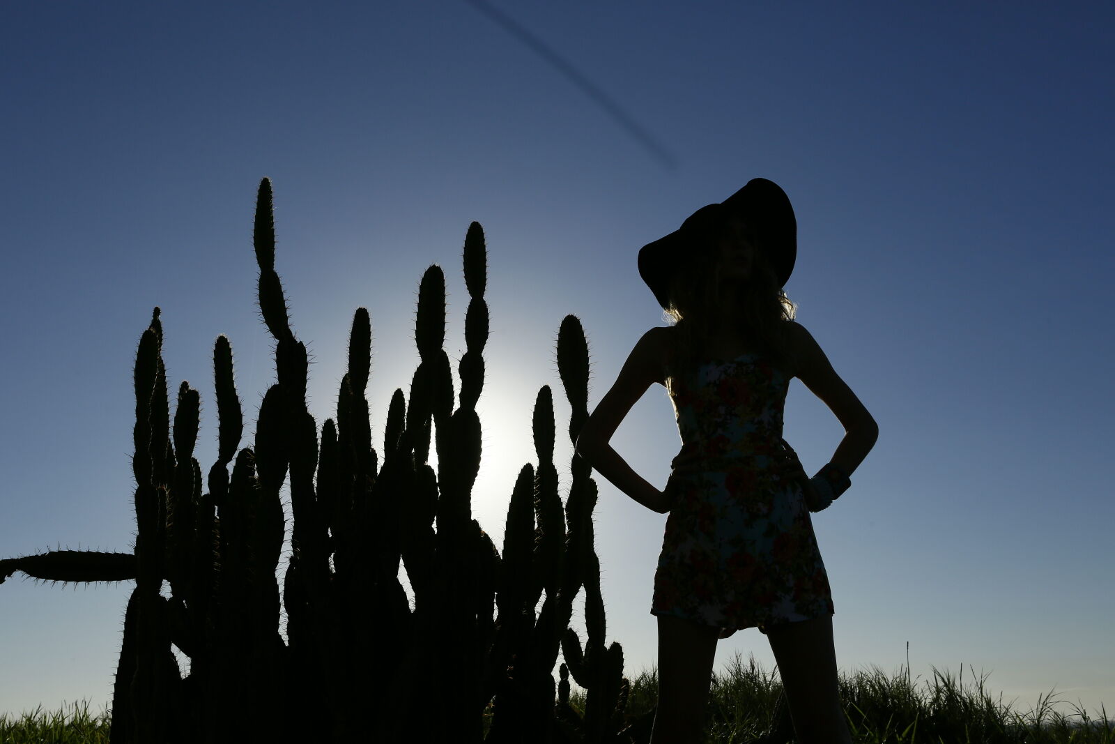 Canon EOS 5D Mark III sample photo. Cactus, fashion, grill photography