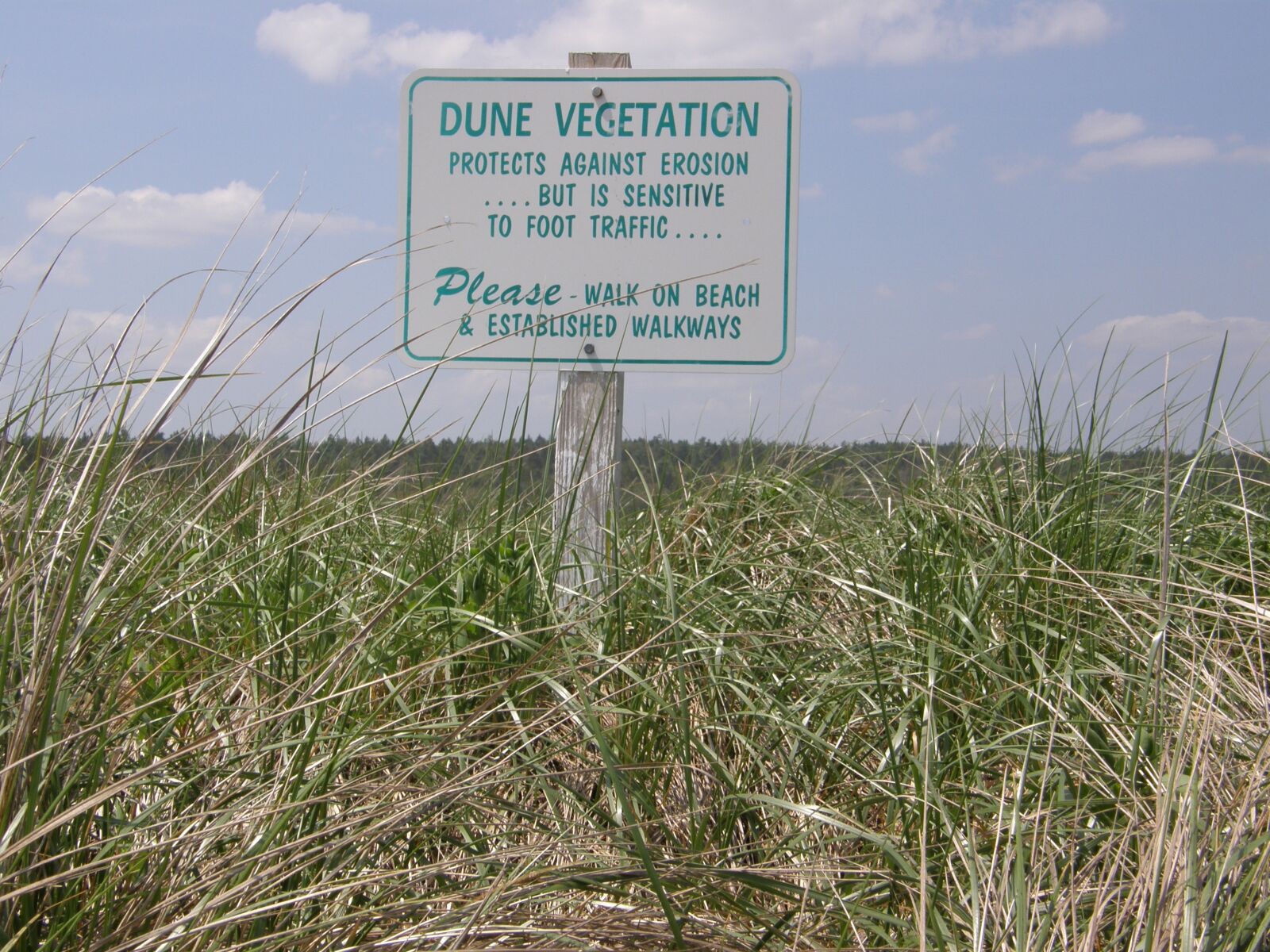 Olympus SP550UZ sample photo. Sign, coast, beach photography