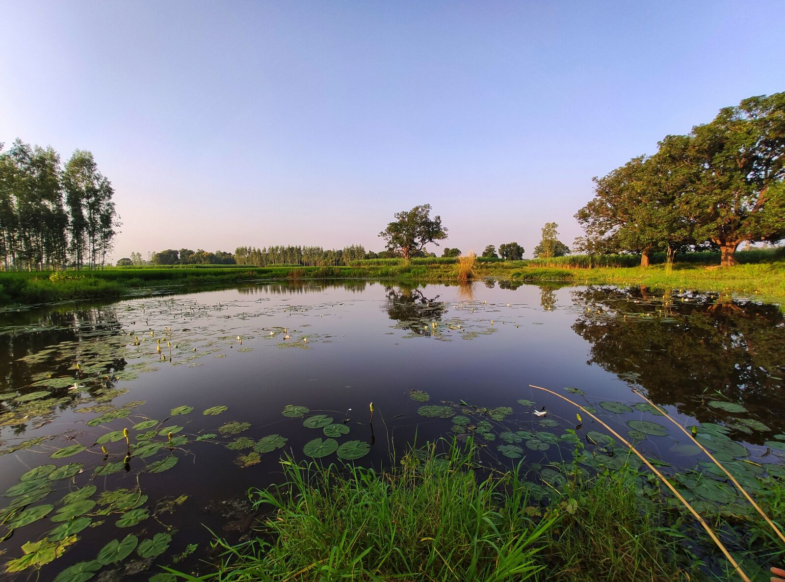Xiaomi Redmi K20 sample photo. Landscape, ponds, fishing photography